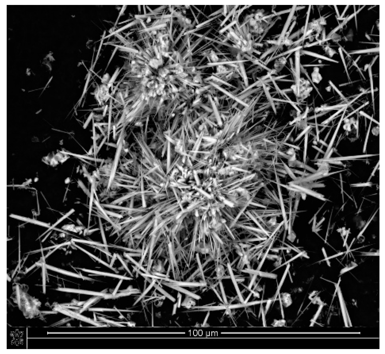 Ijms 23 14315 g001 Ijms 23 14315 g001