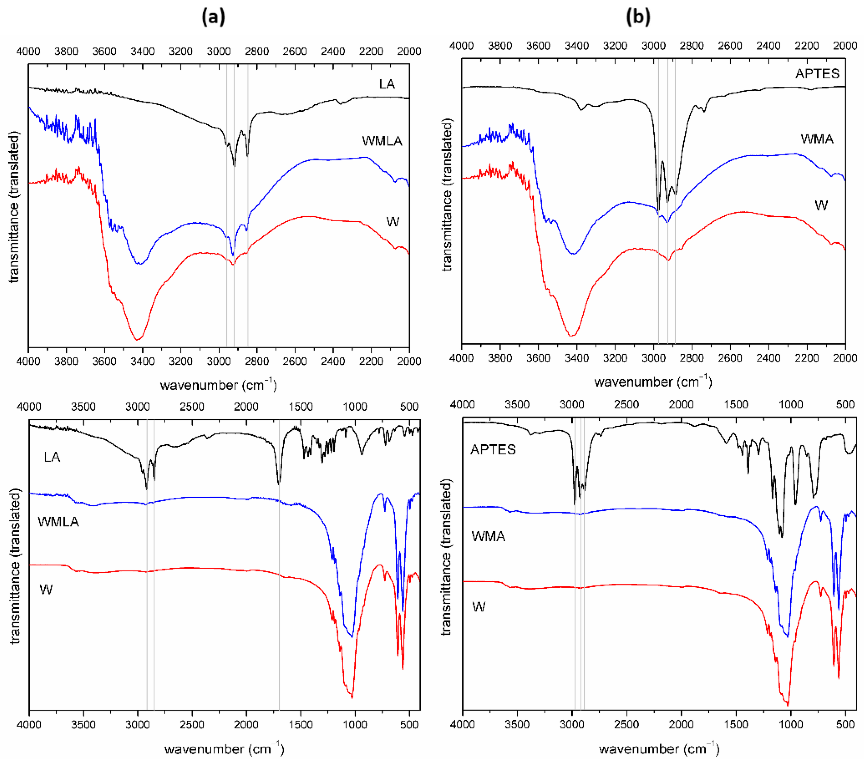 Ijms 23 14315 g002 Ijms 23 14315 g002
