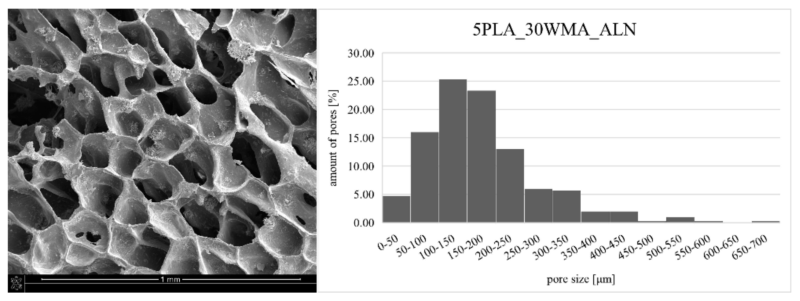 Ijms 23 14315 g010 Ijms 23 14315 g010