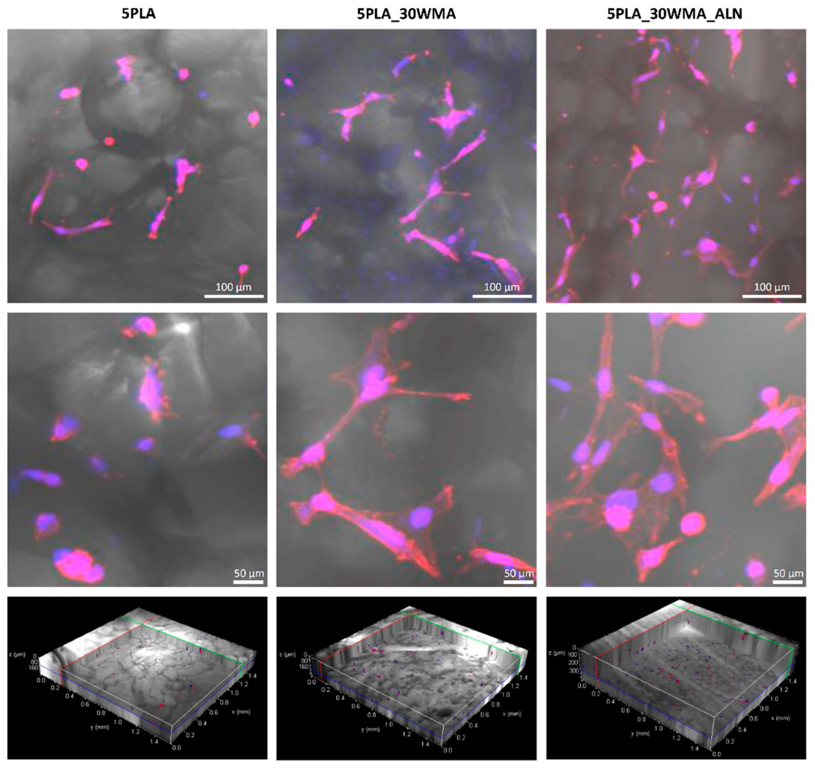 Ijms 23 14315 g014 Ijms 23 14315 g014