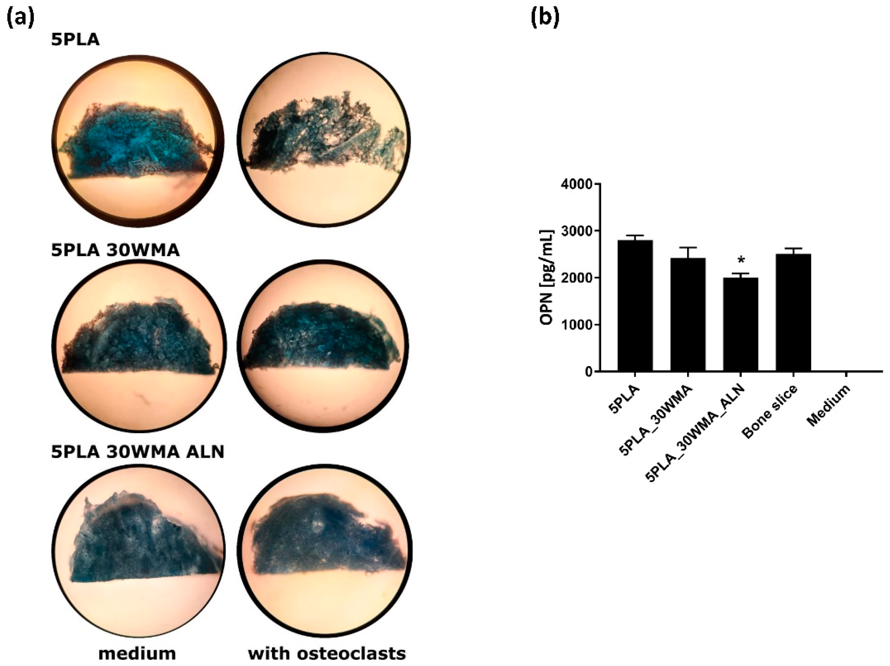 Ijms 23 14315 g016 Ijms 23 14315 g016