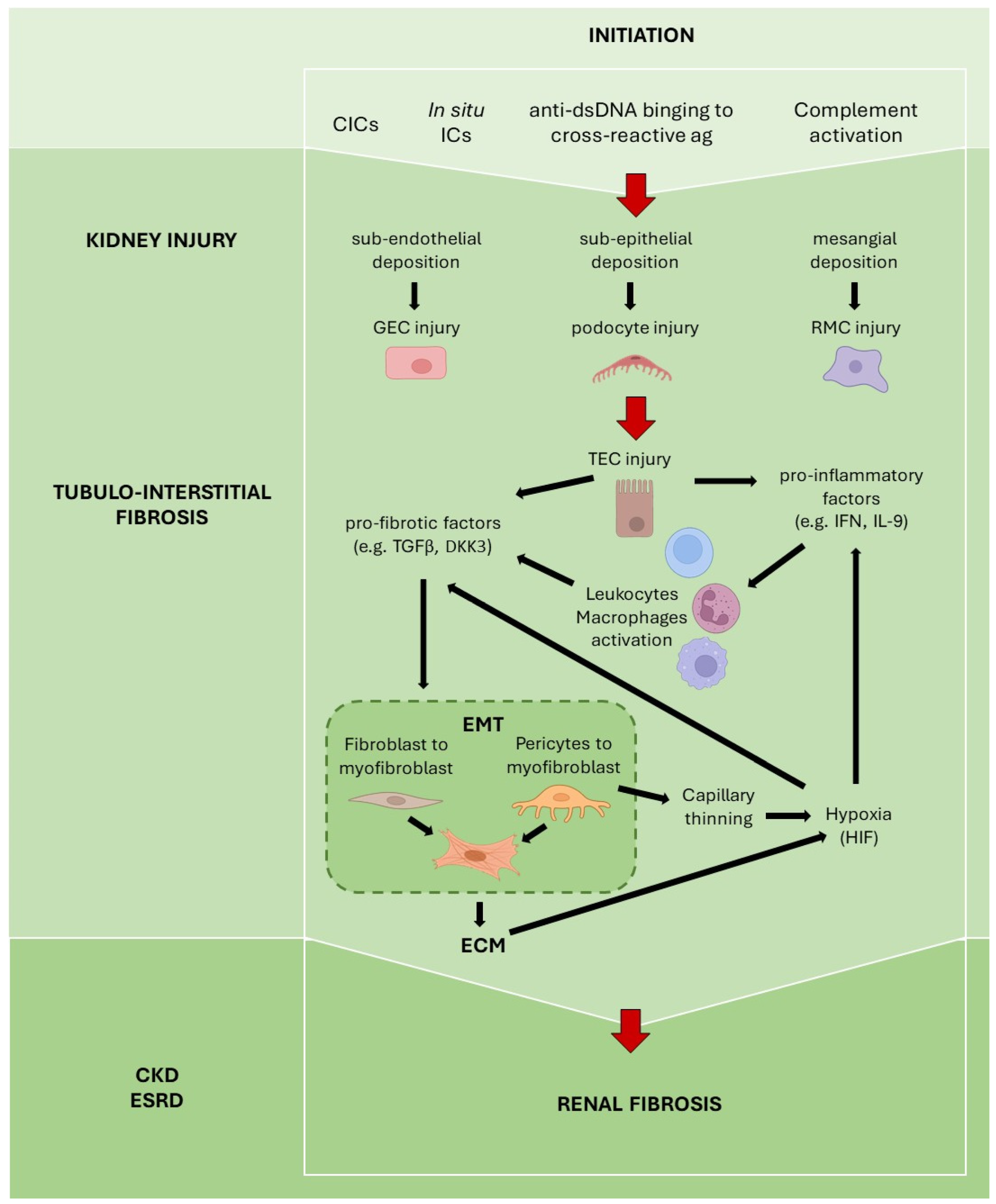 Ijms 23 14317 g002 Ijms 23 14317 g002