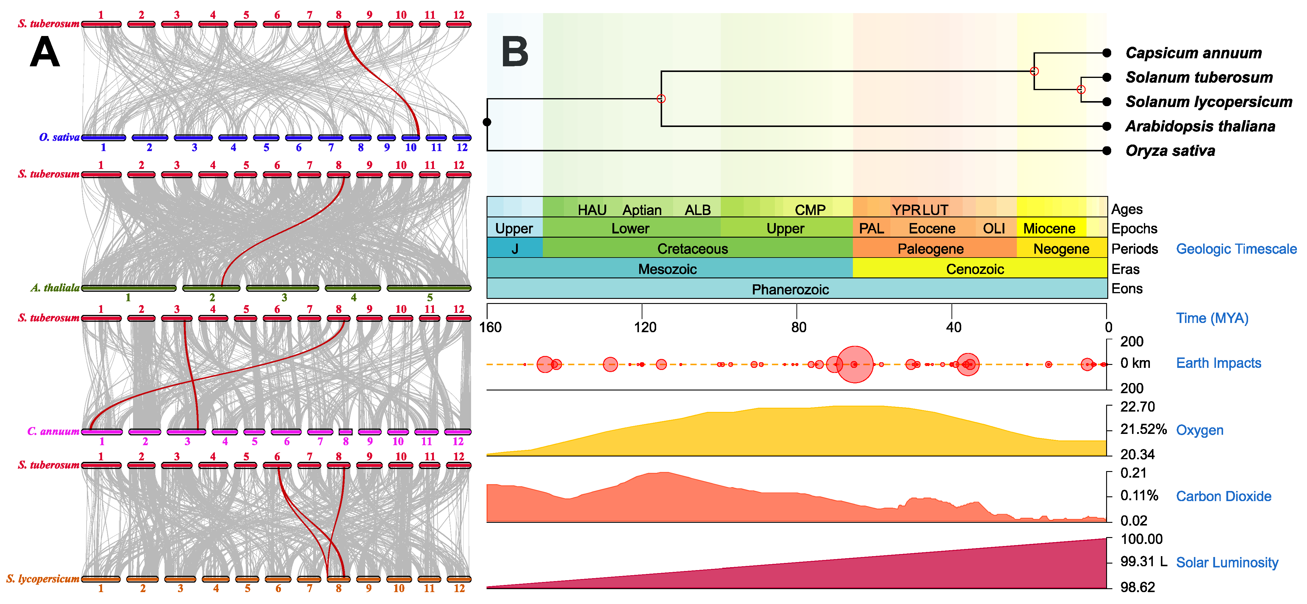 Ijms 23 14318 g002 Ijms 23 14318 g002
