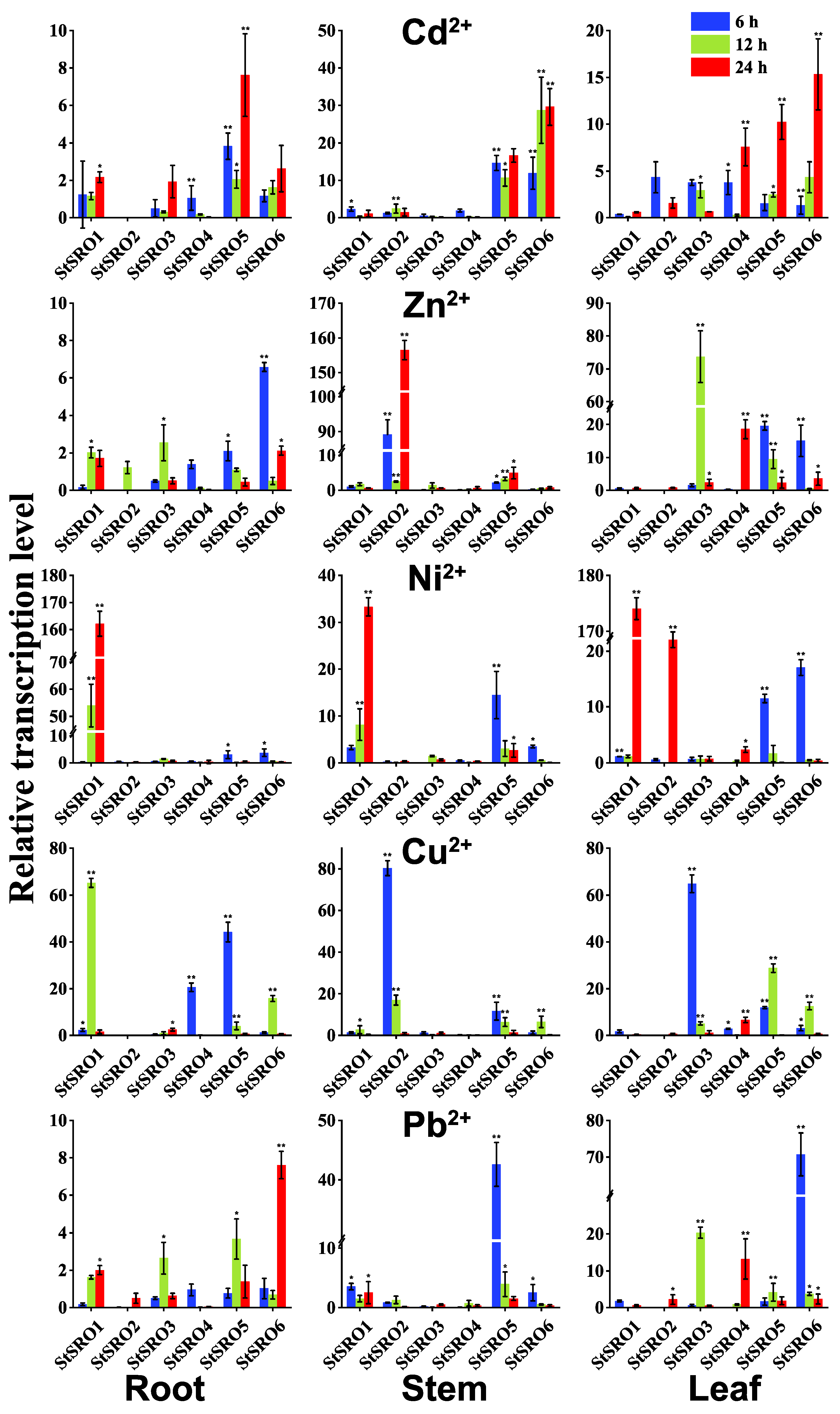 Ijms 23 14318 g004 Ijms 23 14318 g004