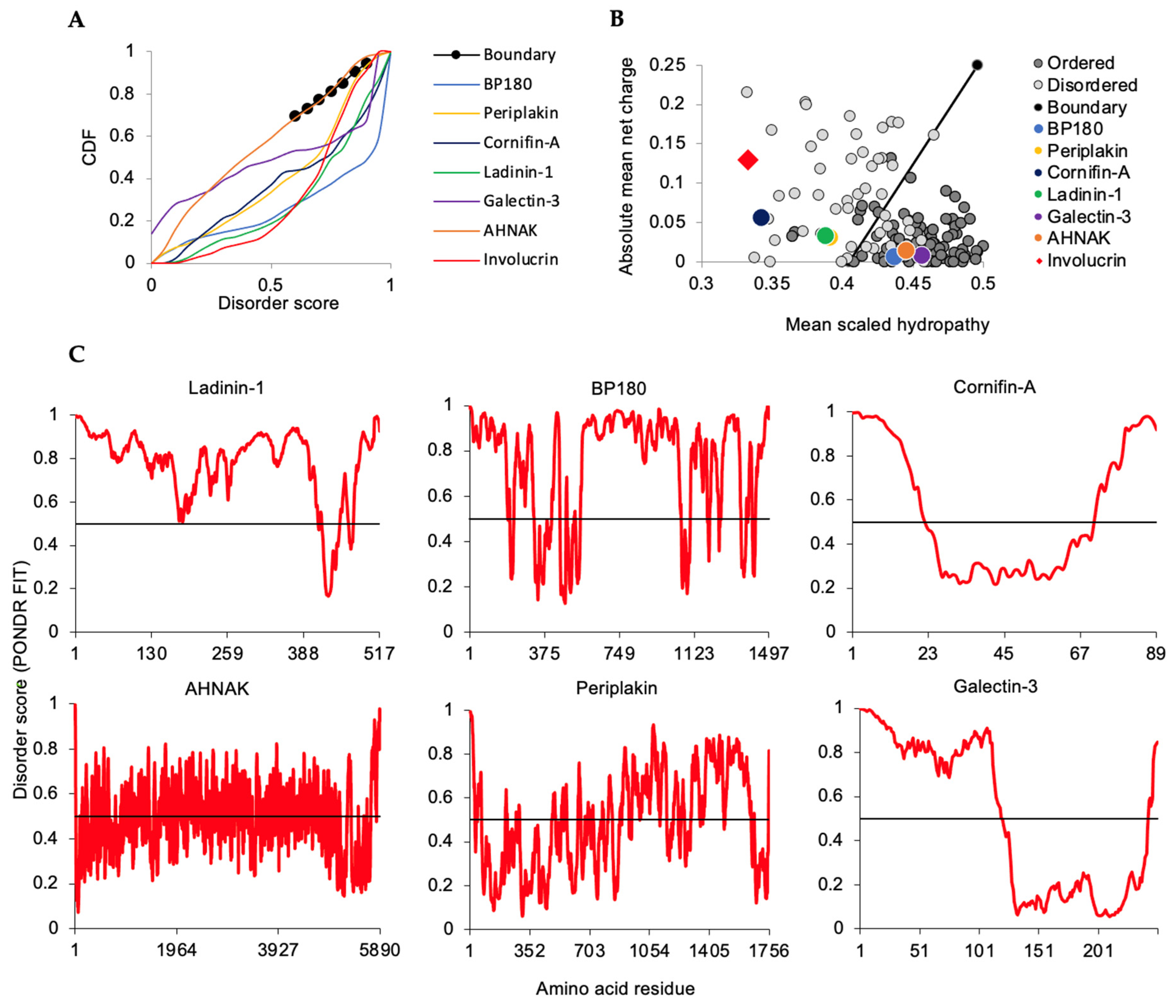 Ijms 23 14323 g005 Ijms 23 14323 g005
