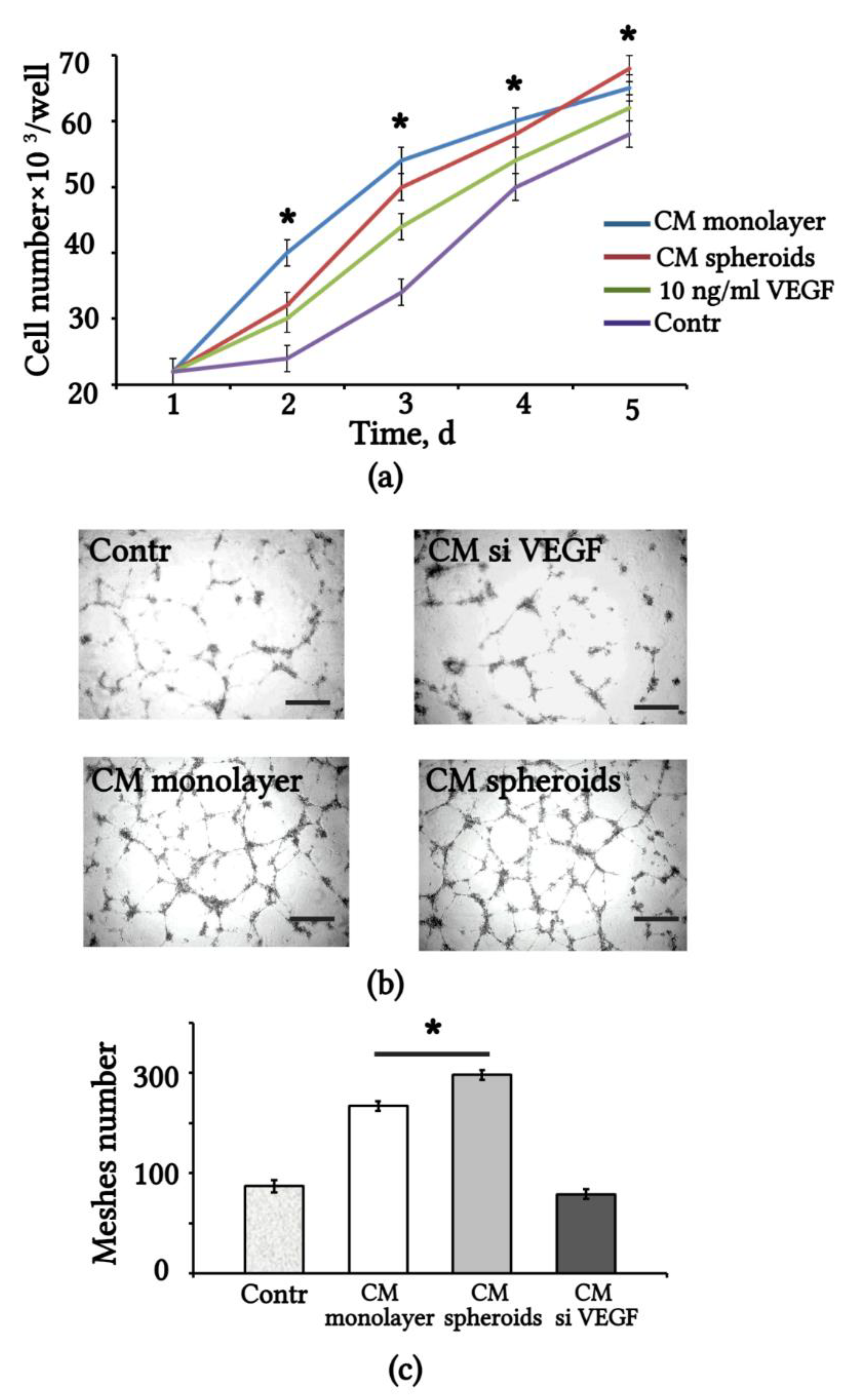 Ijms Free Full Text Paracrine And Autocrine Effects Of Vegf Are