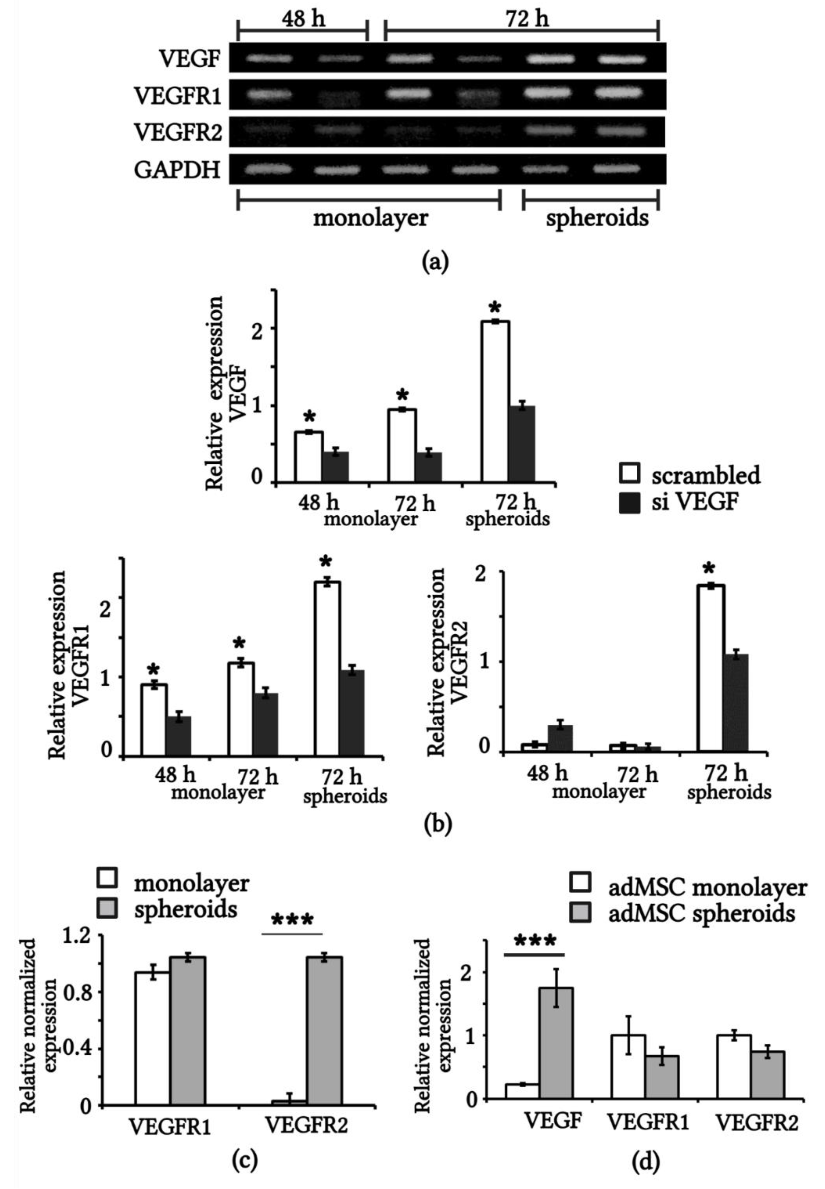 Ijms Free Full Text Paracrine And Autocrine Effects Of Vegf Are