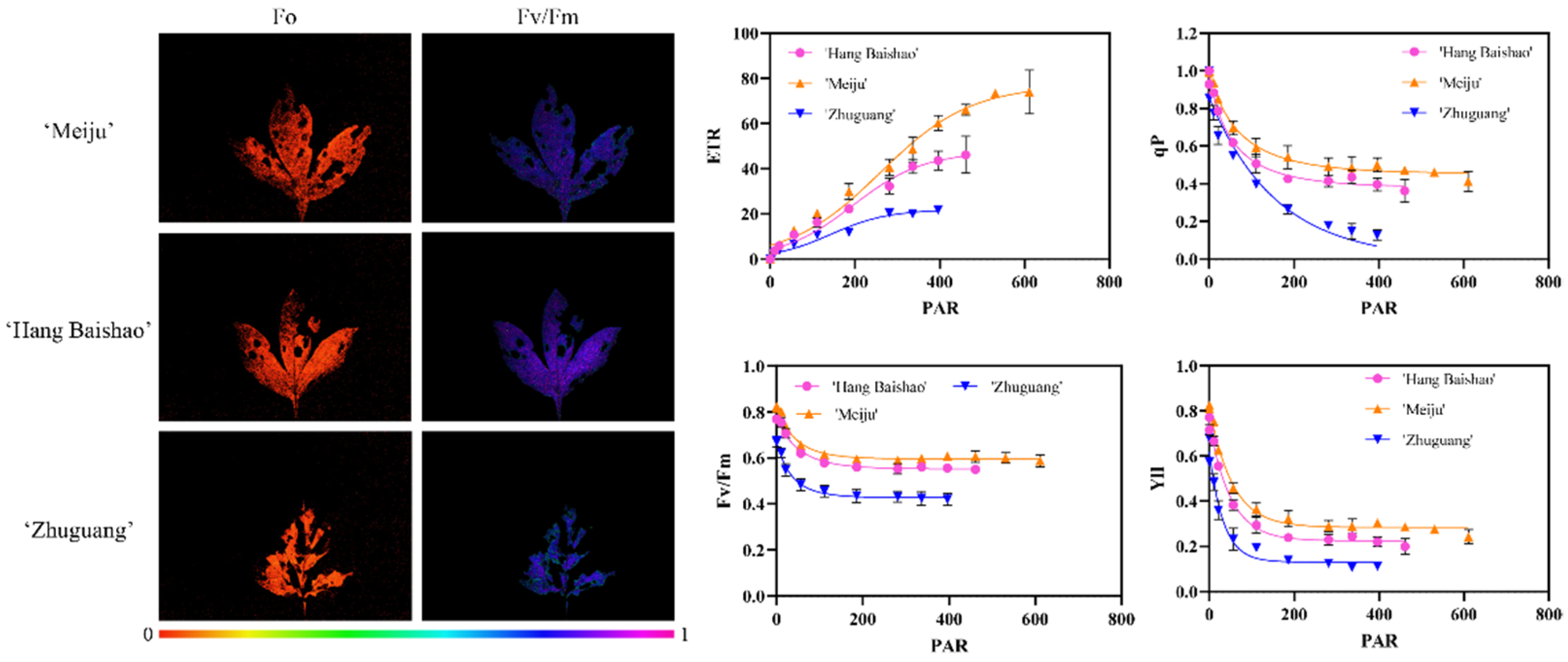 Ijms 23 14342 g005 Ijms 23 14342 g005