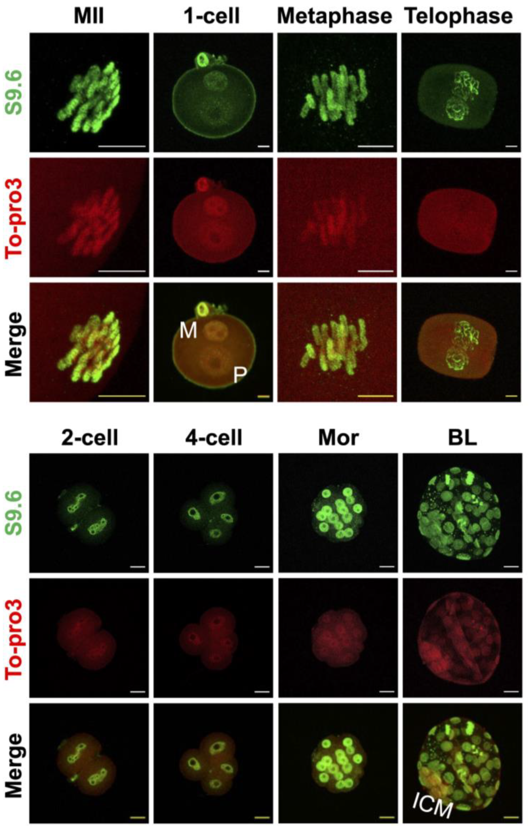 Ijms 23 14345 g002 Ijms 23 14345 g002