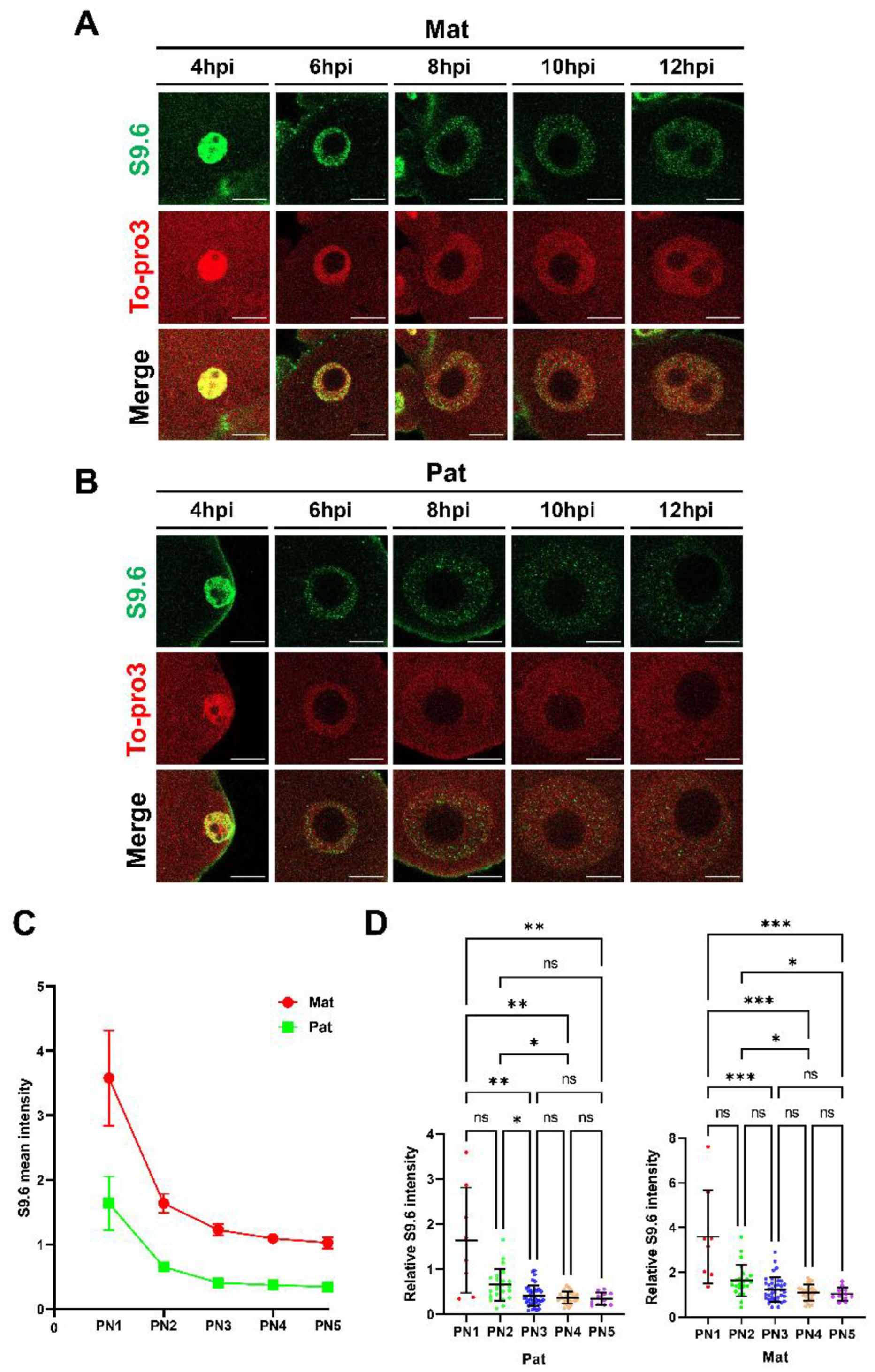 Ijms 23 14345 g003 Ijms 23 14345 g003