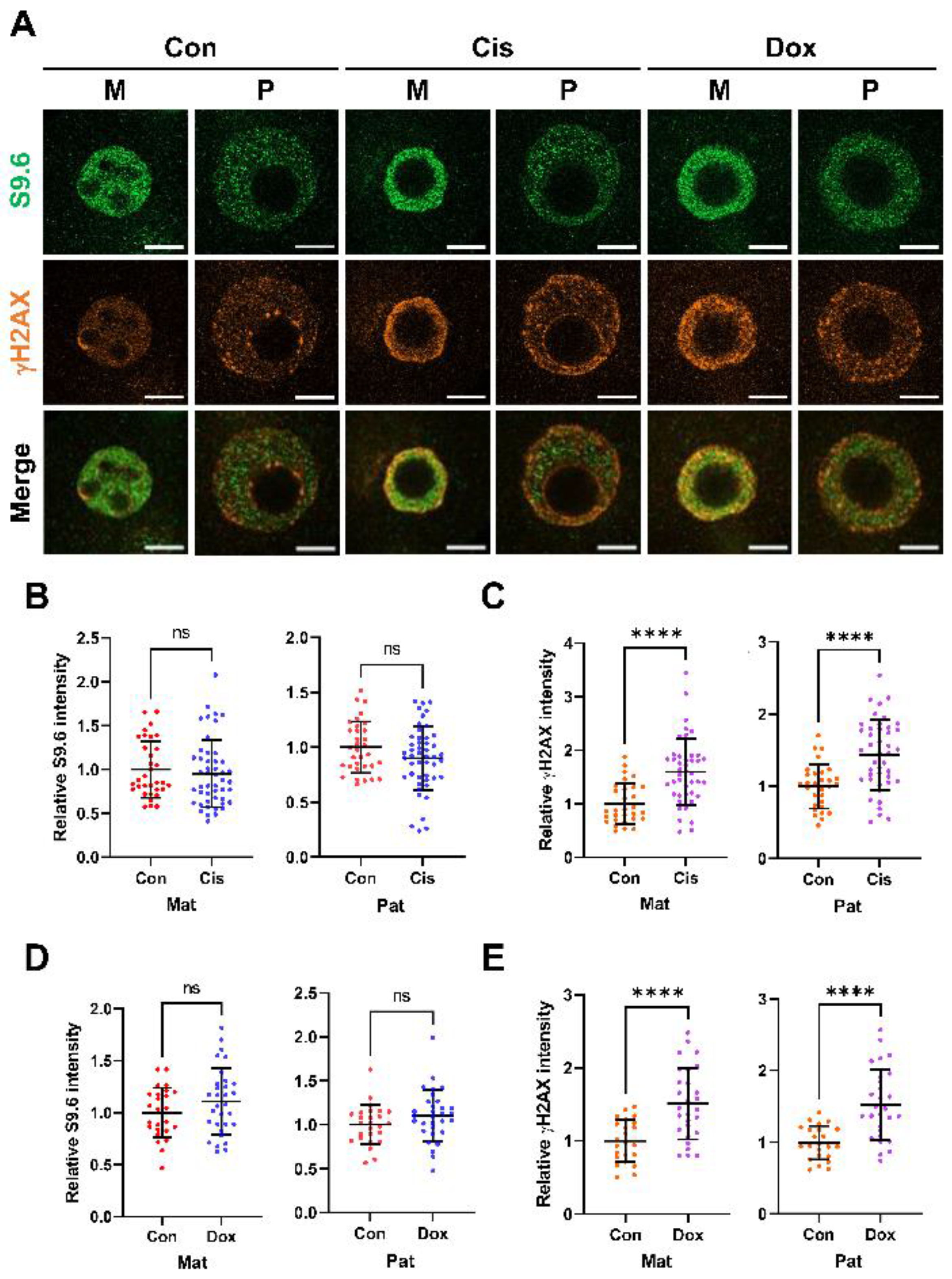 Ijms 23 14345 g005 Ijms 23 14345 g005