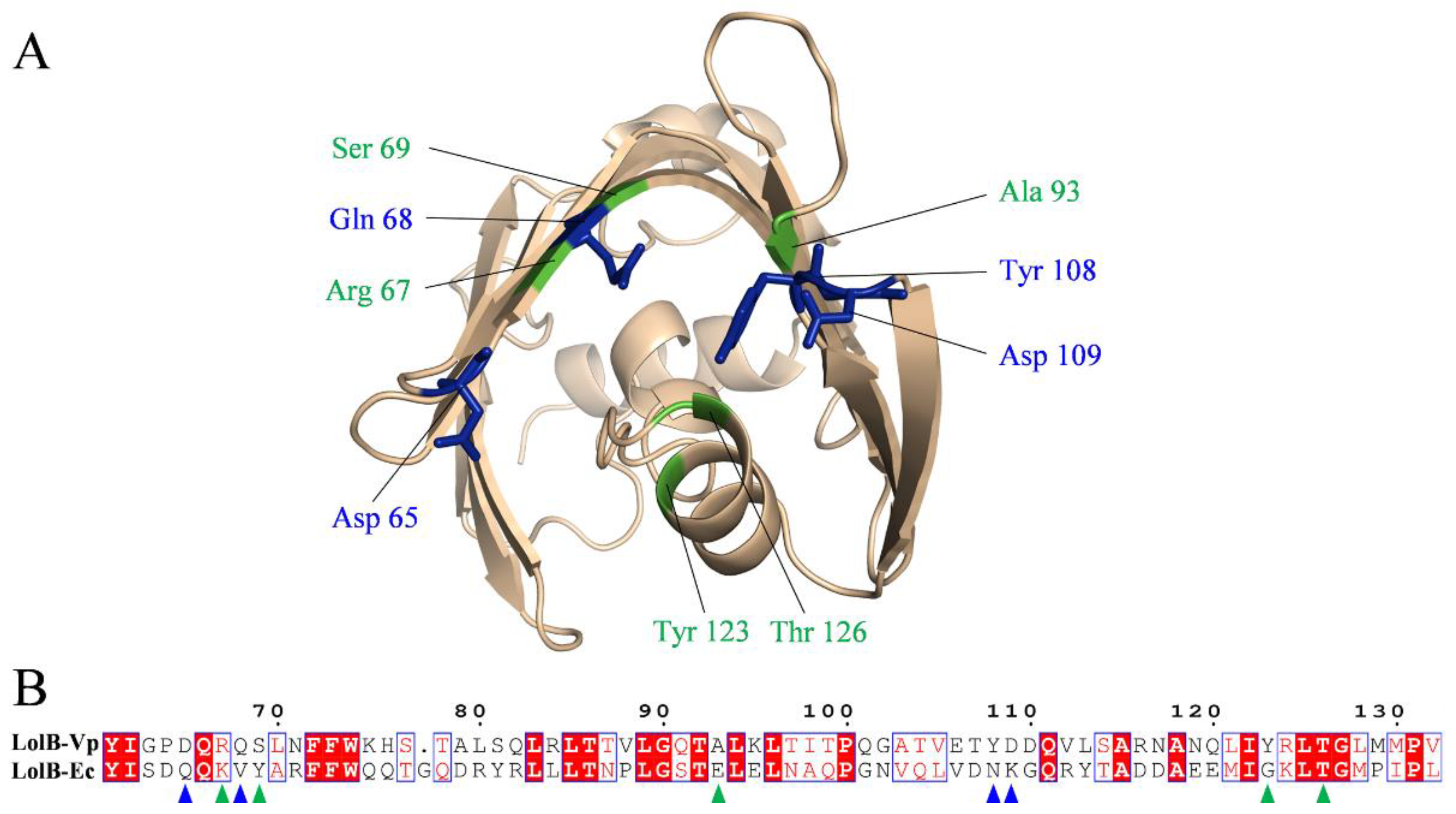 Ijms 23 14352 g010 Ijms 23 14352 g010
