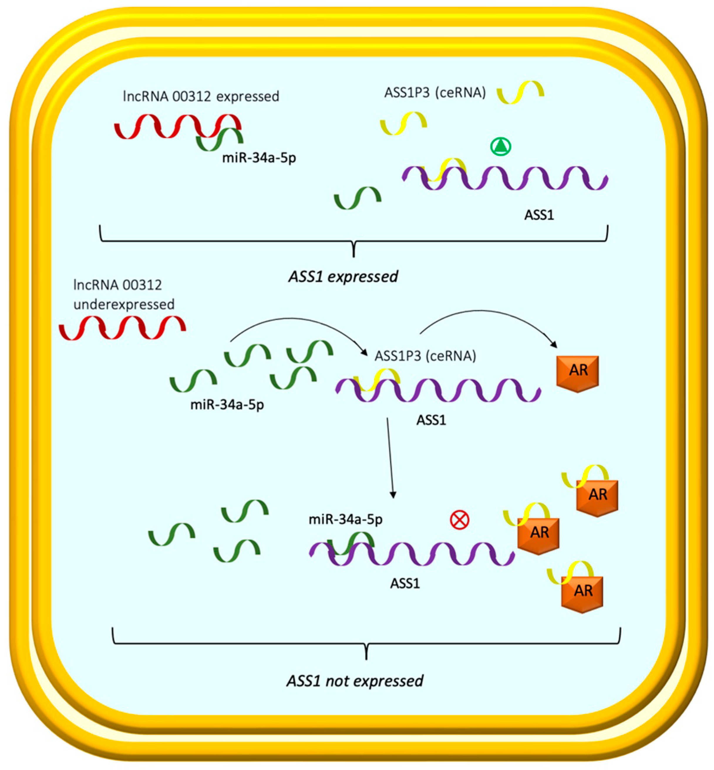 Ijms 23 14360 g004 Ijms 23 14360 g004