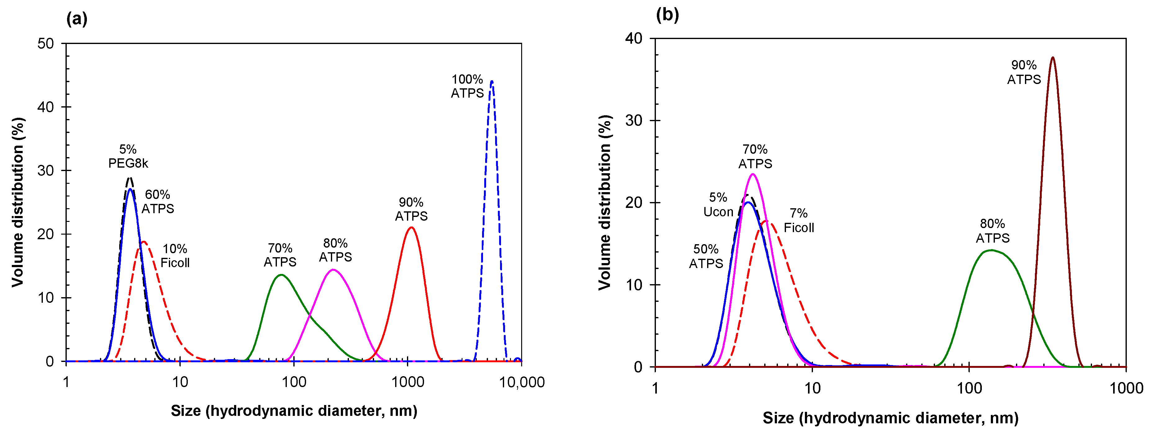 Ijms 23 14366 g004 Ijms 23 14366 g004