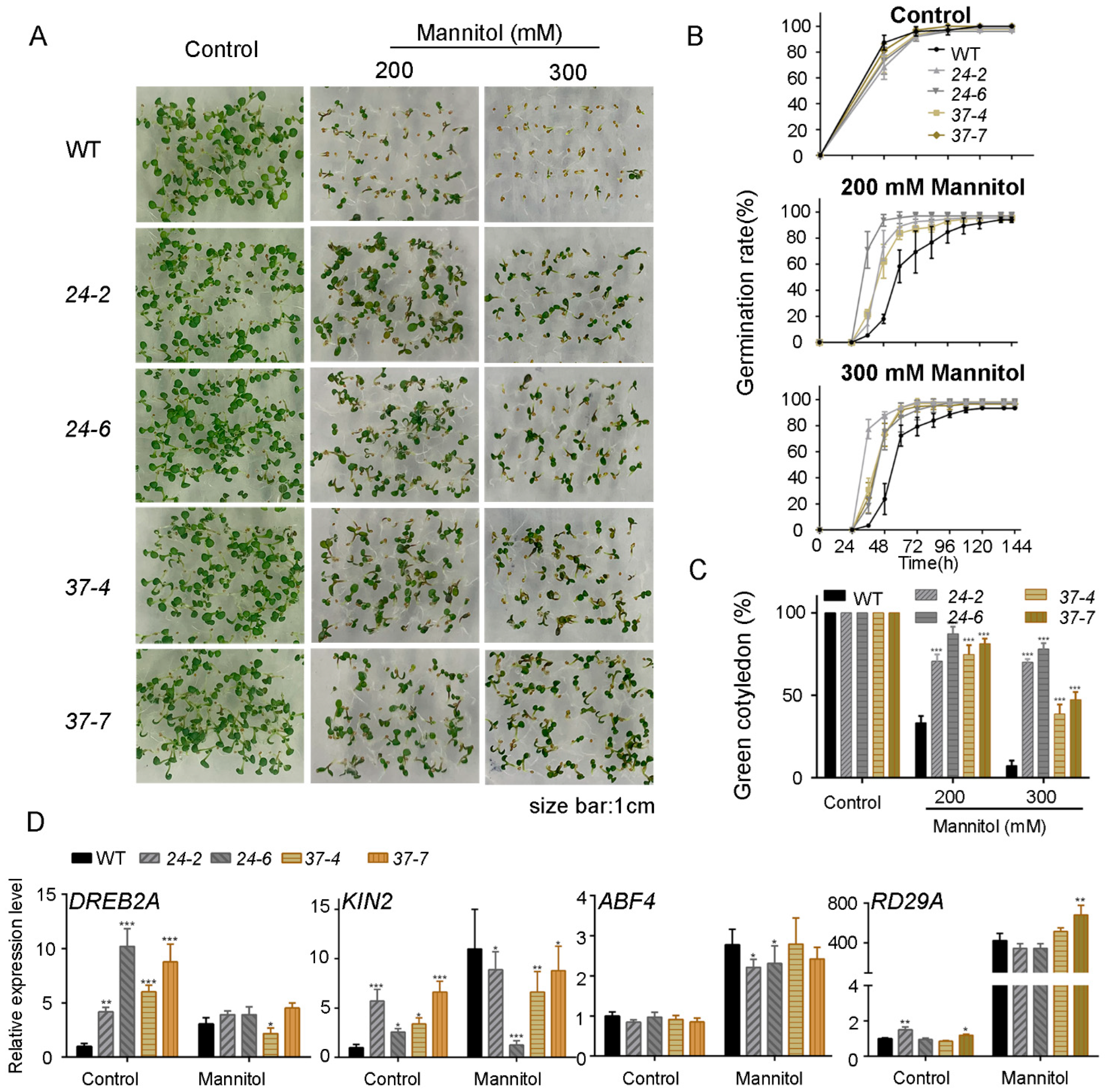 Ijms 23 14375 g005 Ijms 23 14375 g005