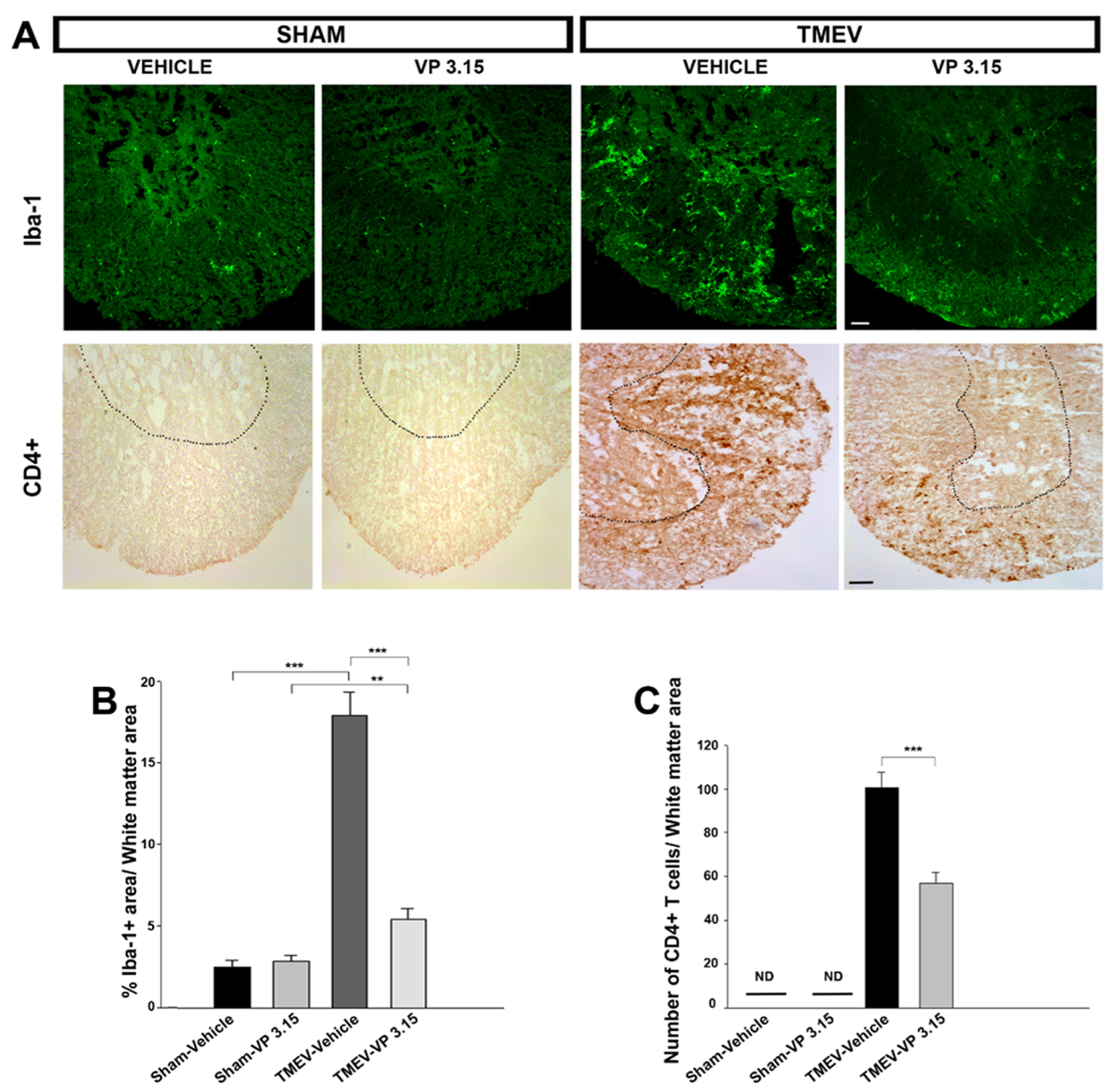 Ijms 23 14378 g002 Ijms 23 14378 g002