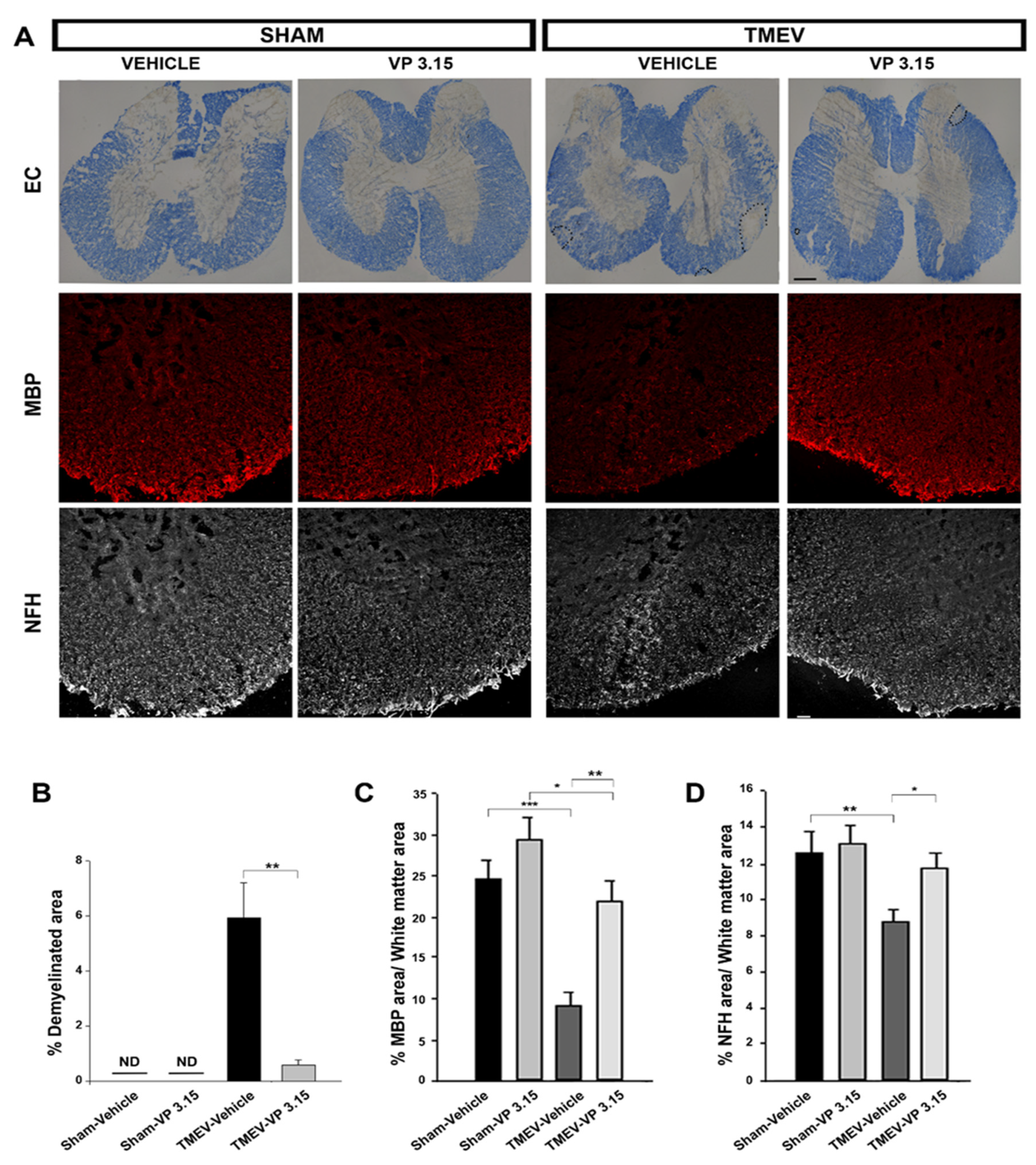 Ijms 23 14378 g003 Ijms 23 14378 g003