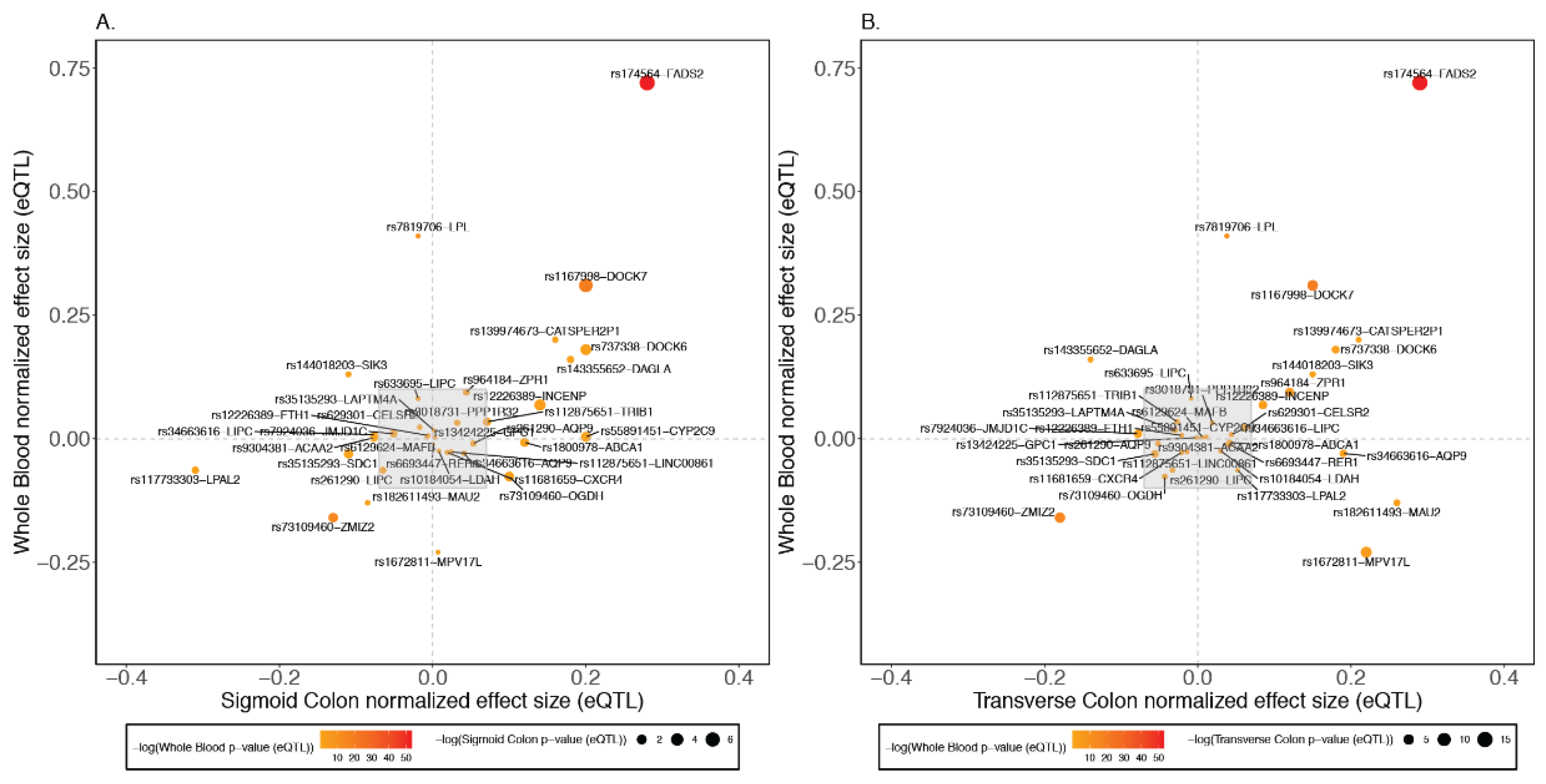 Ijms 23 14380 g002 Ijms 23 14380 g002