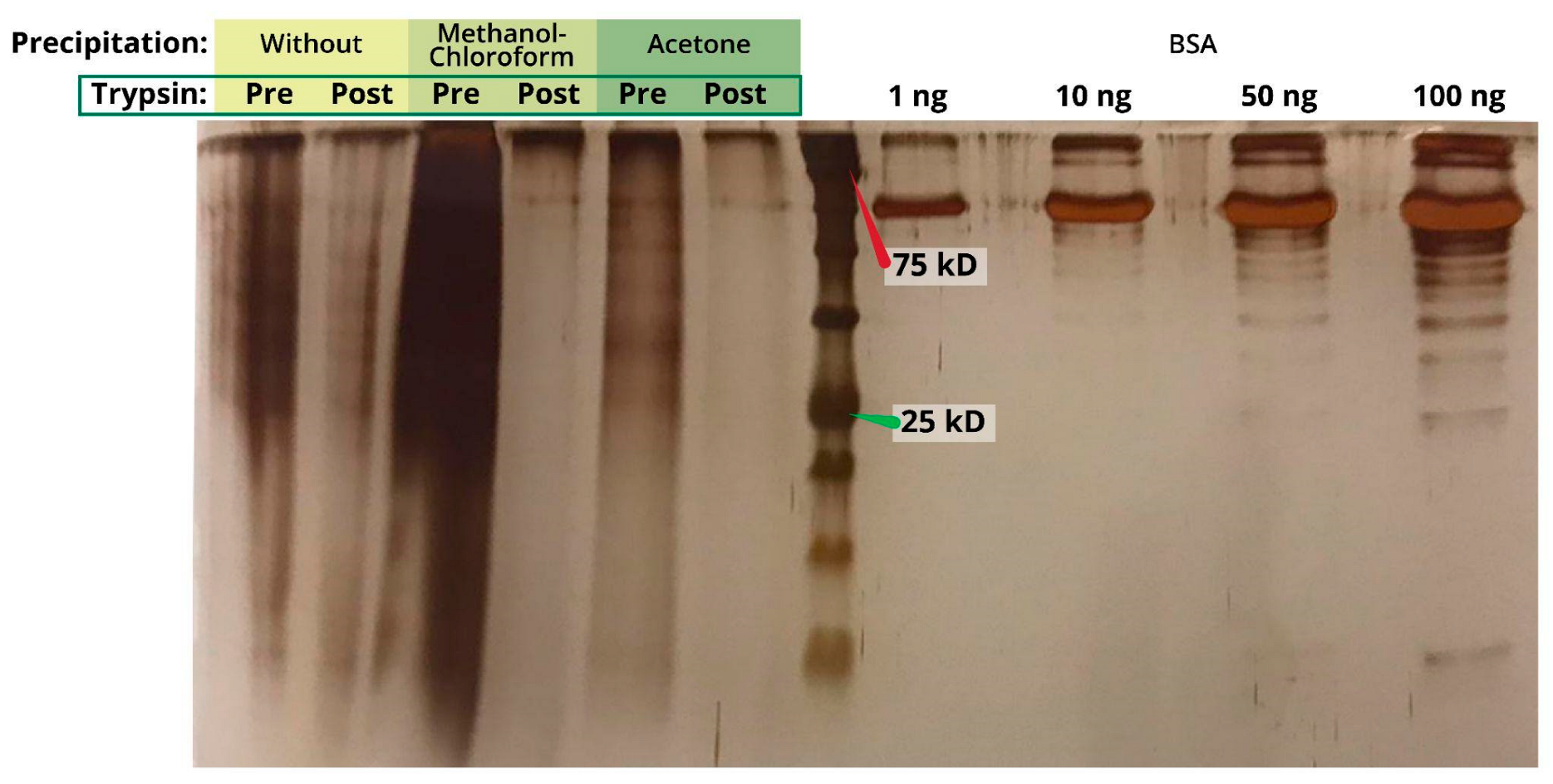 Ijms 23 14387 g002 Ijms 23 14387 g002