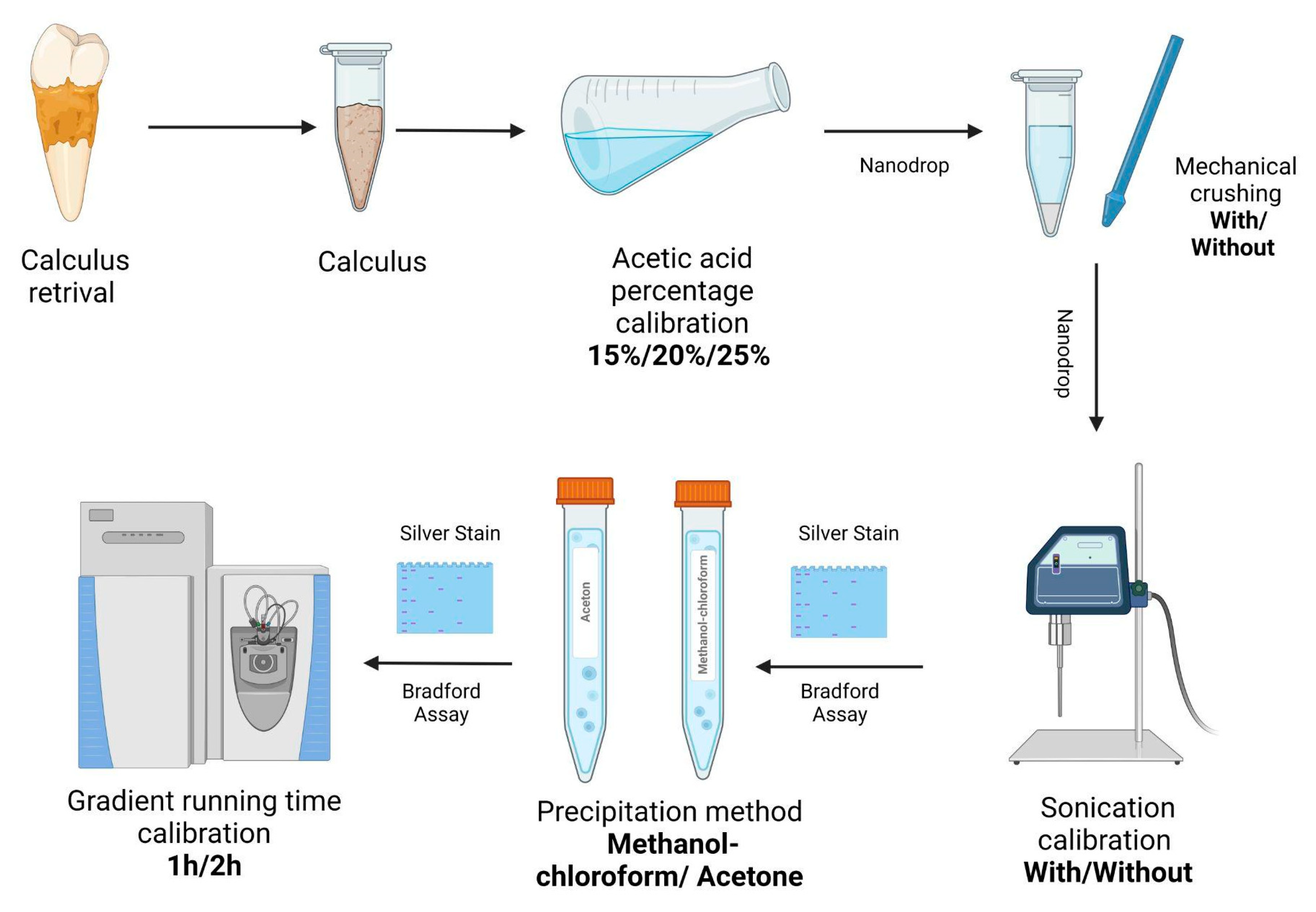 Ijms 23 14387 g007 Ijms 23 14387 g007