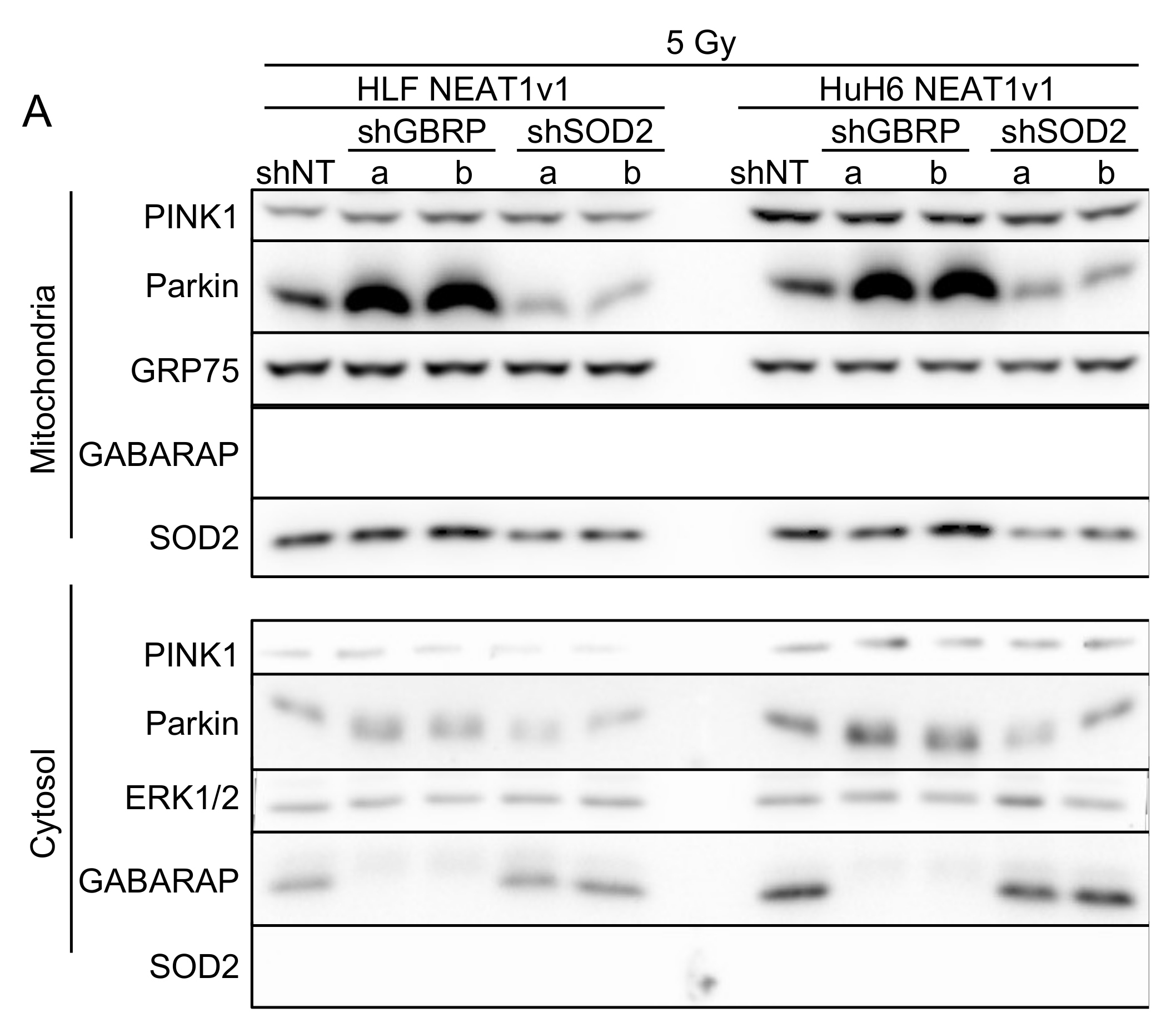 Ijms 23 14397 g005a Ijms 23 14397 g005a