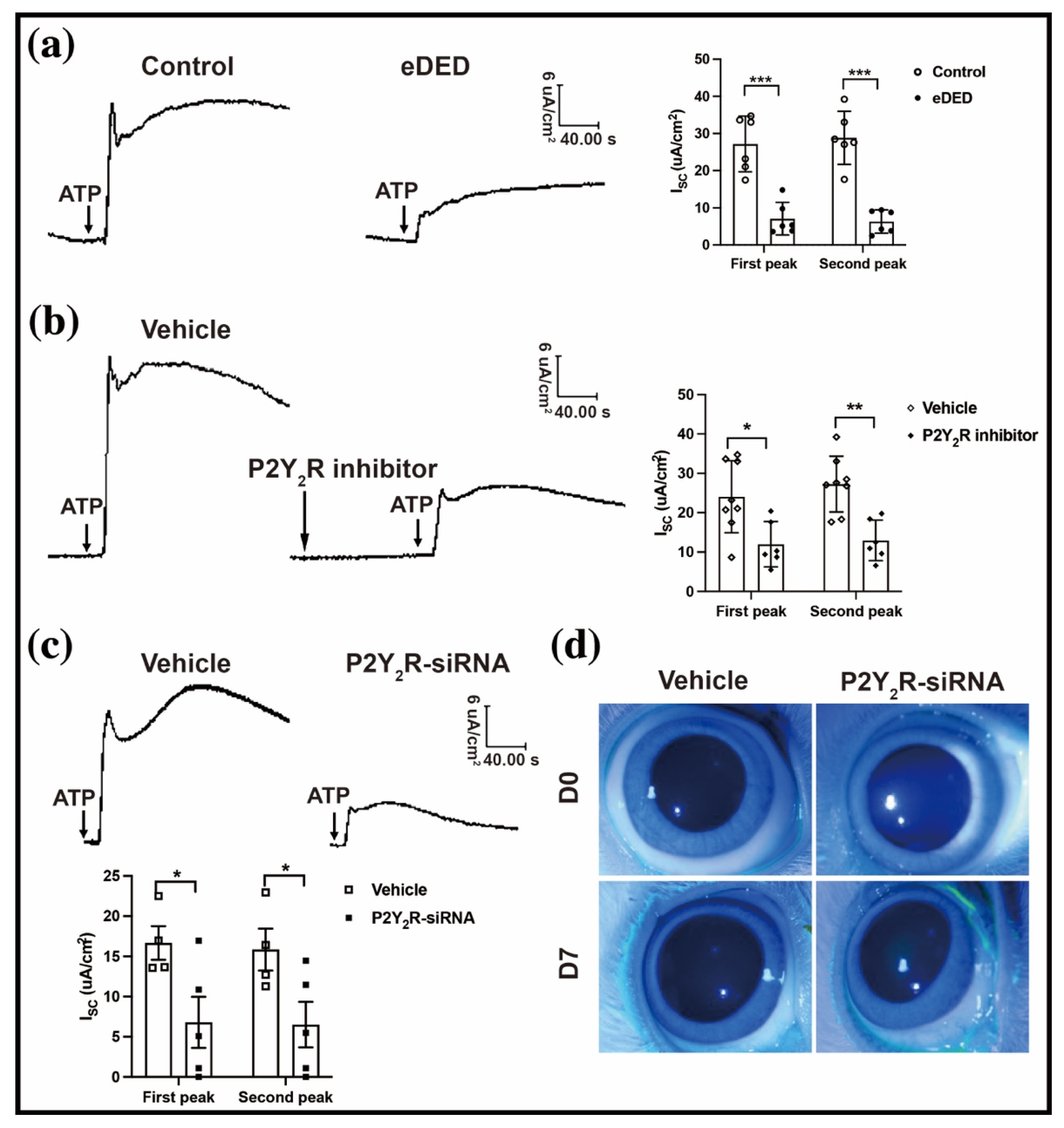 Ijms 23 14399 g003 Ijms 23 14399 g003