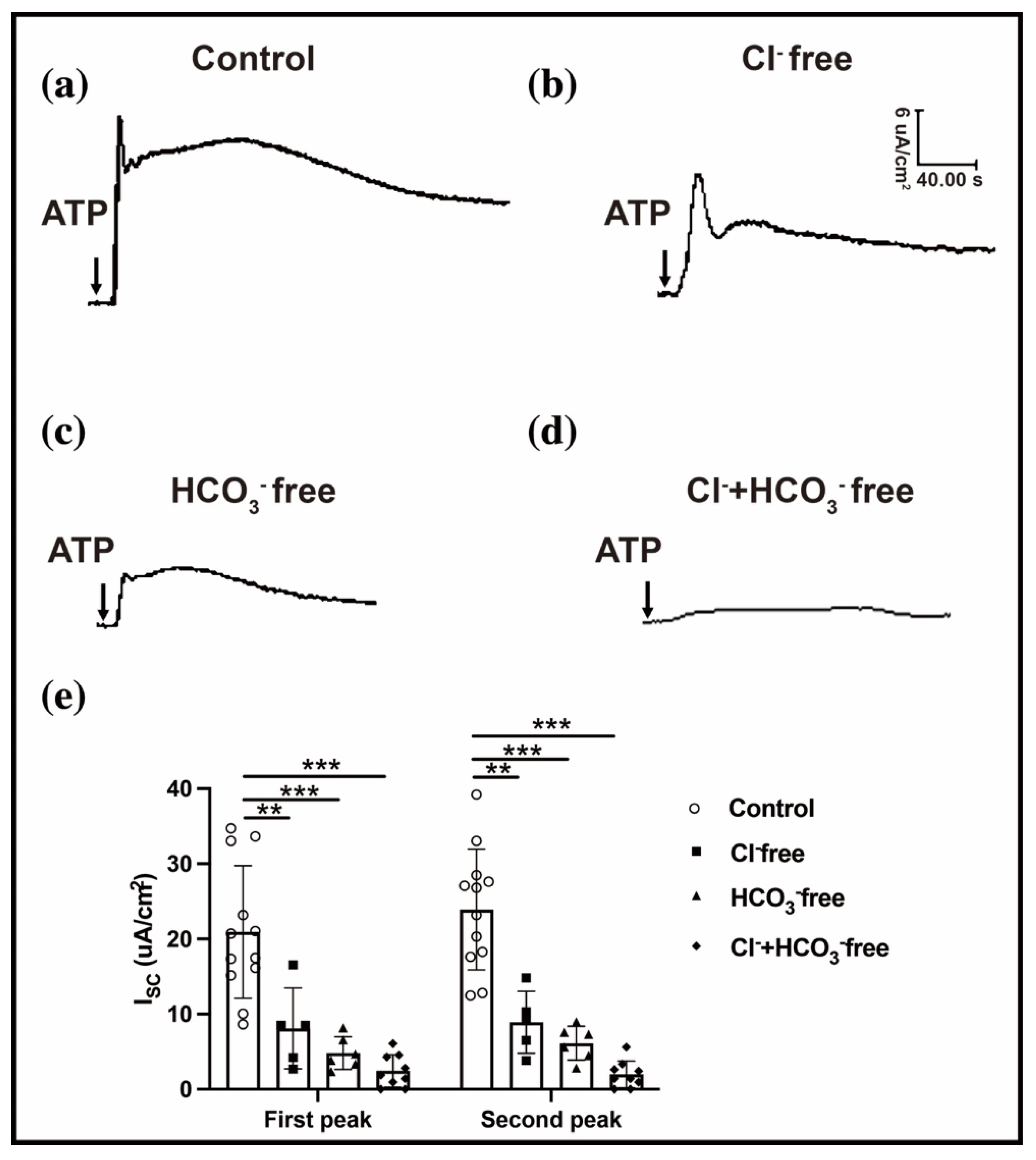 Ijms 23 14399 g004 Ijms 23 14399 g004
