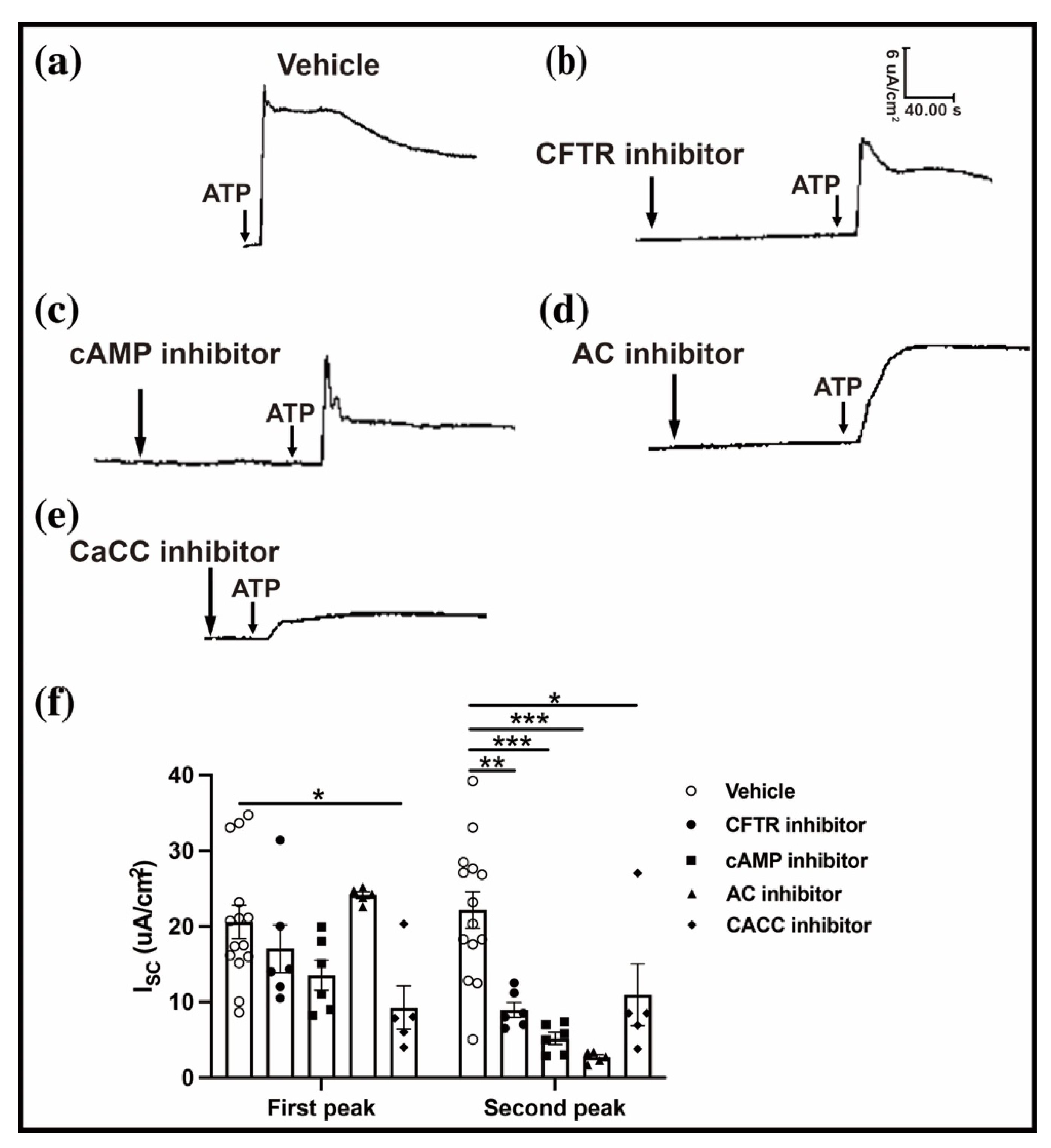 Ijms 23 14399 g005 Ijms 23 14399 g005
