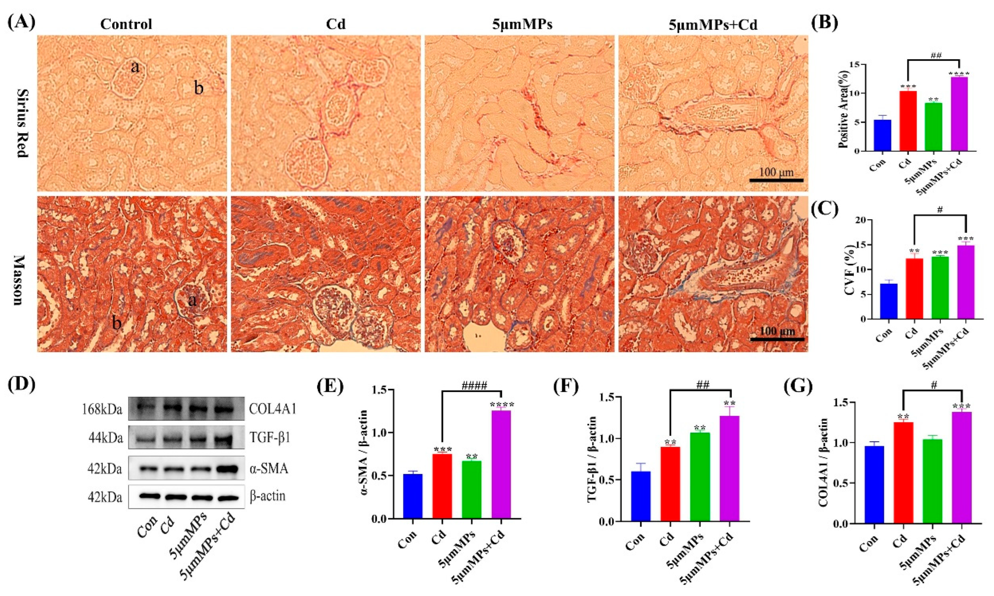 Ijms 23 14411 g005 Ijms 23 14411 g005