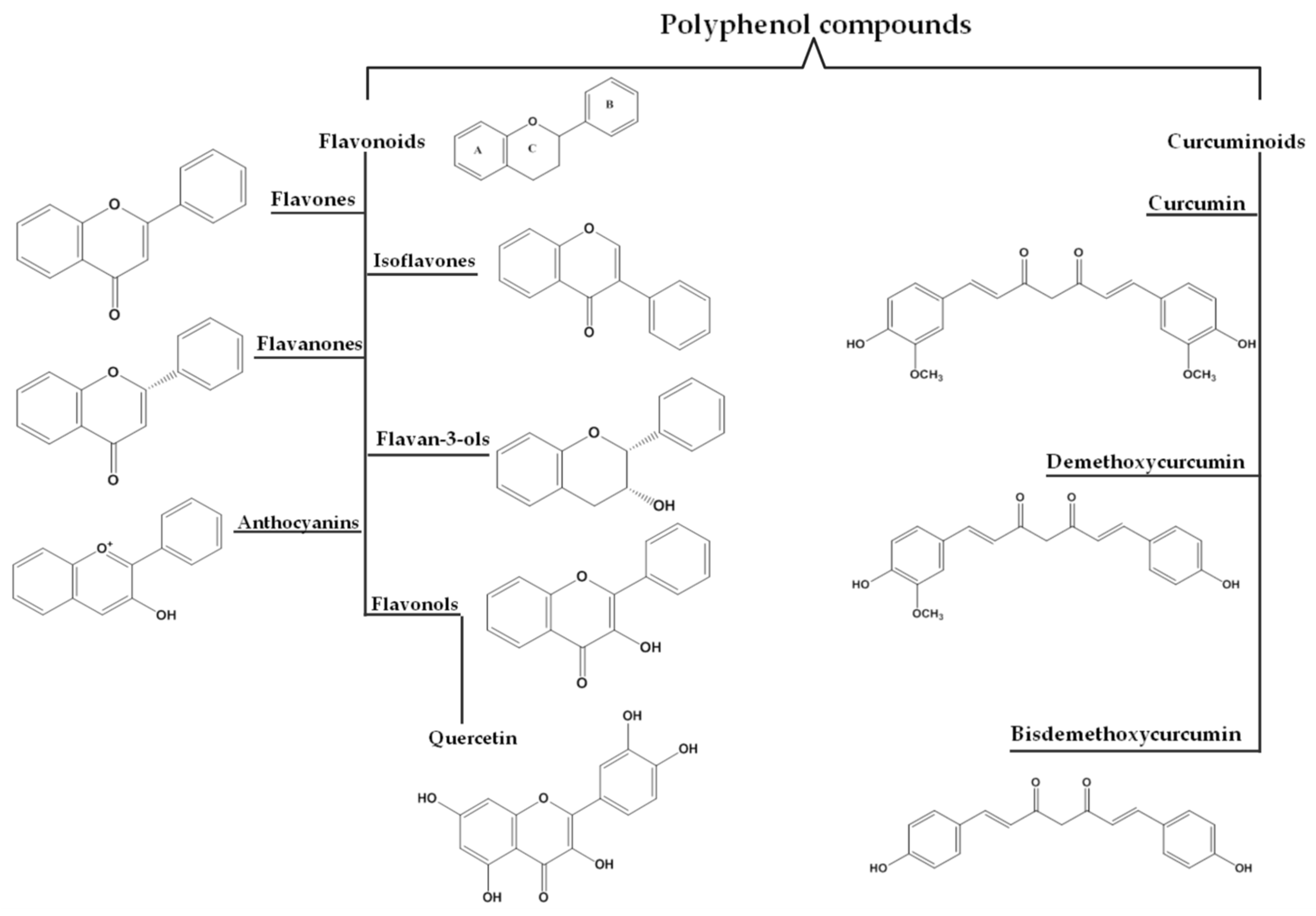 Ijms 23 14413 g003 Ijms 23 14413 g003