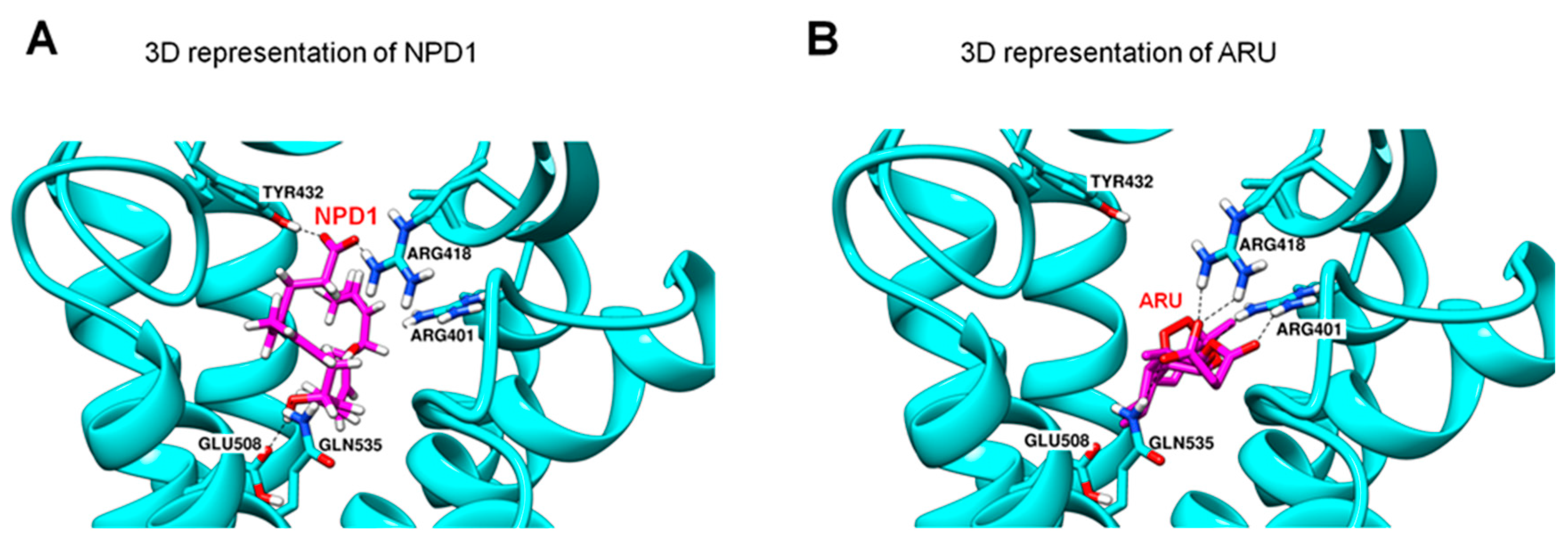 Ijms 23 14426 g003 Ijms 23 14426 g003