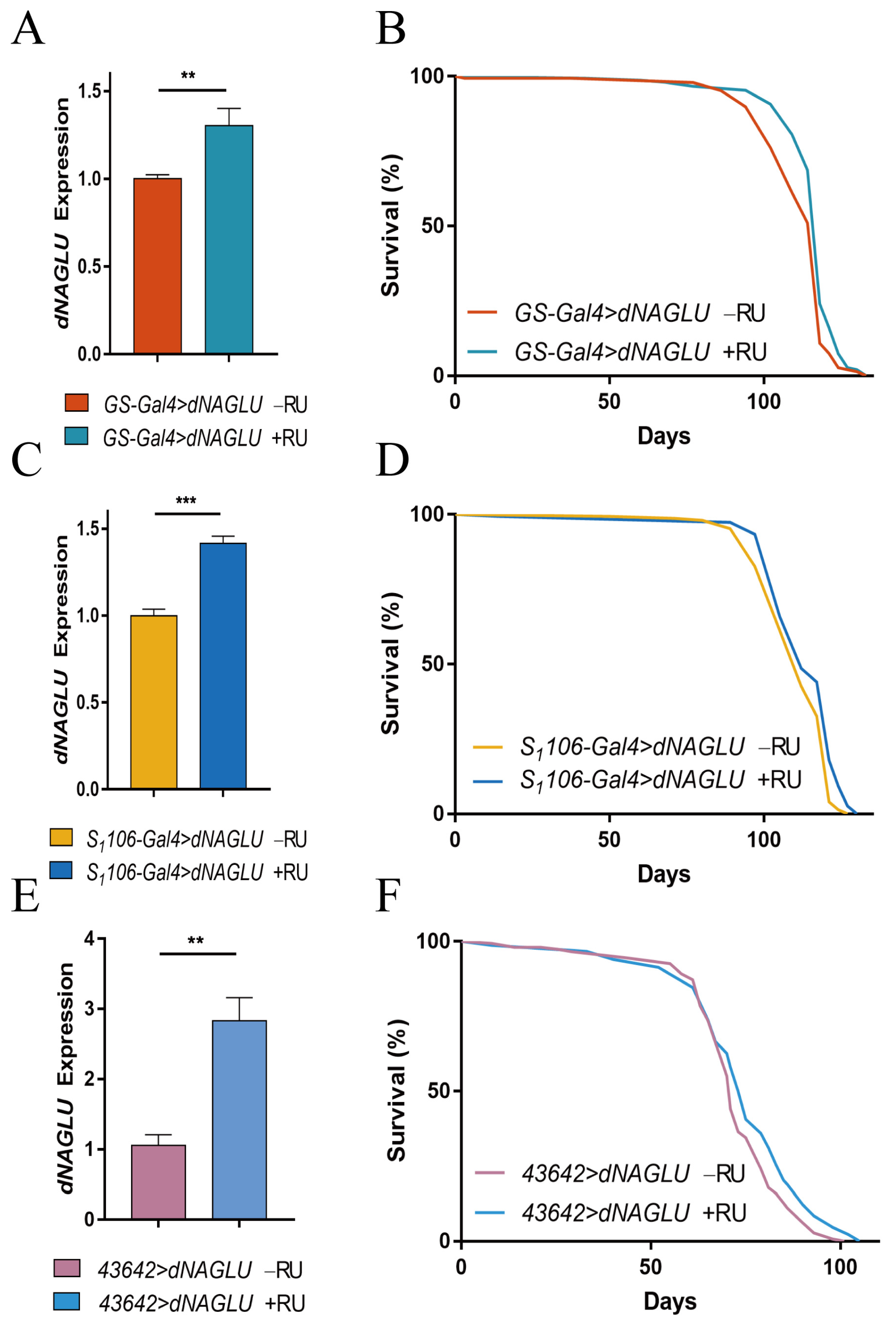 Ijms 23 14433 g002 Ijms 23 14433 g002