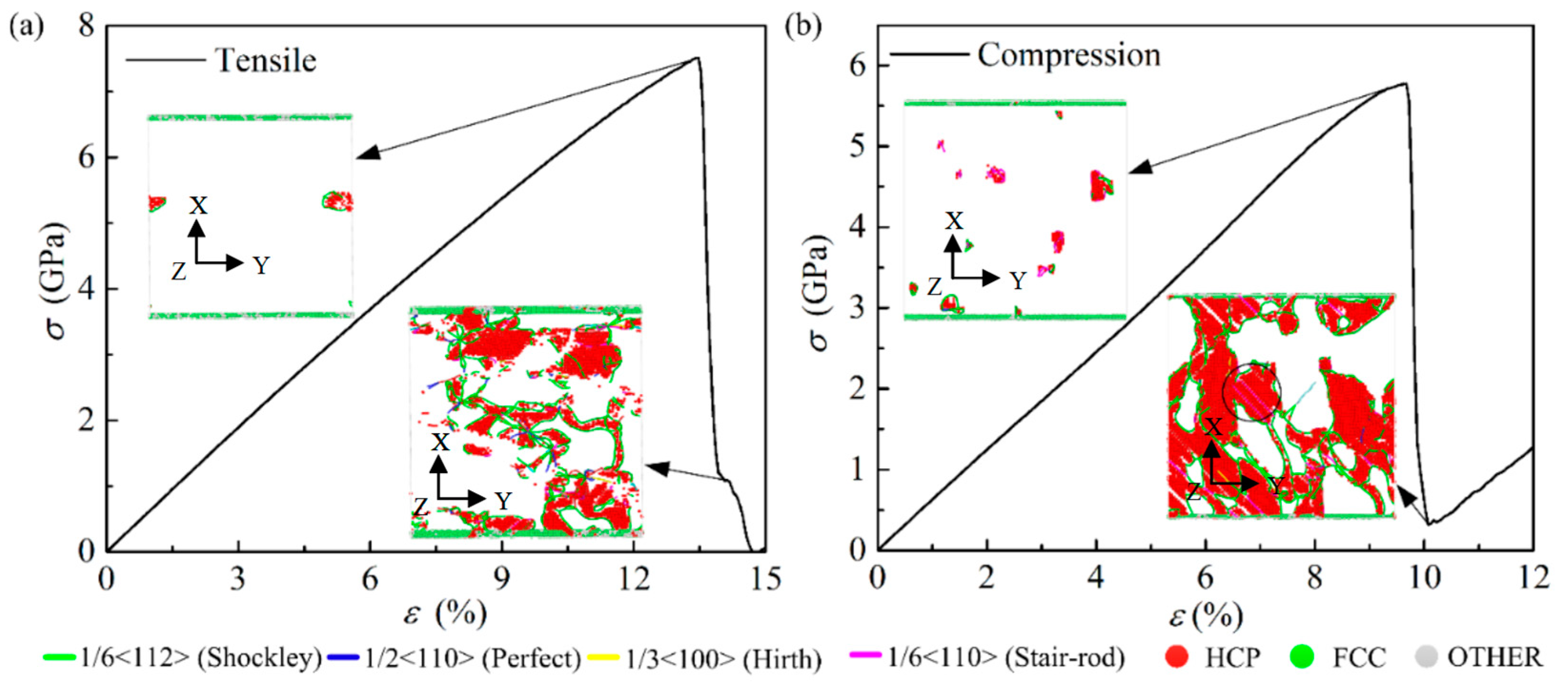 Ijms 23 14437 g006 Ijms 23 14437 g006