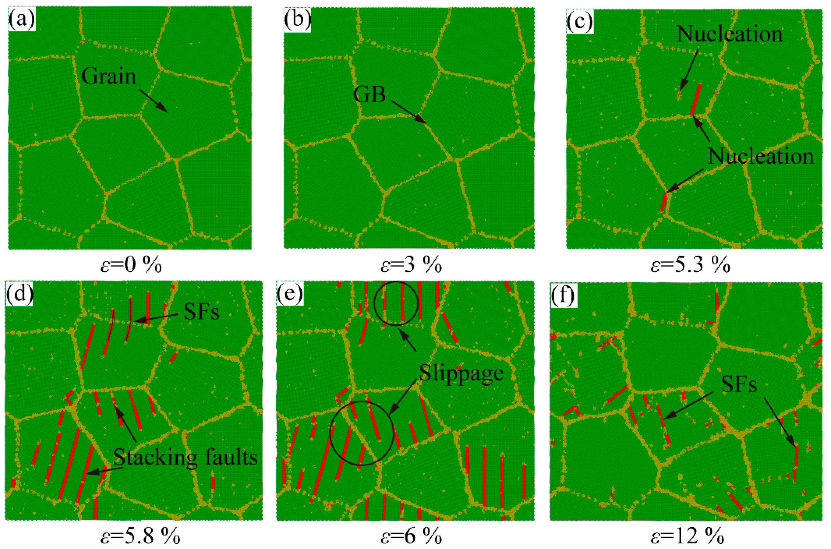 Ijms 23 14437 g016 Ijms 23 14437 g016