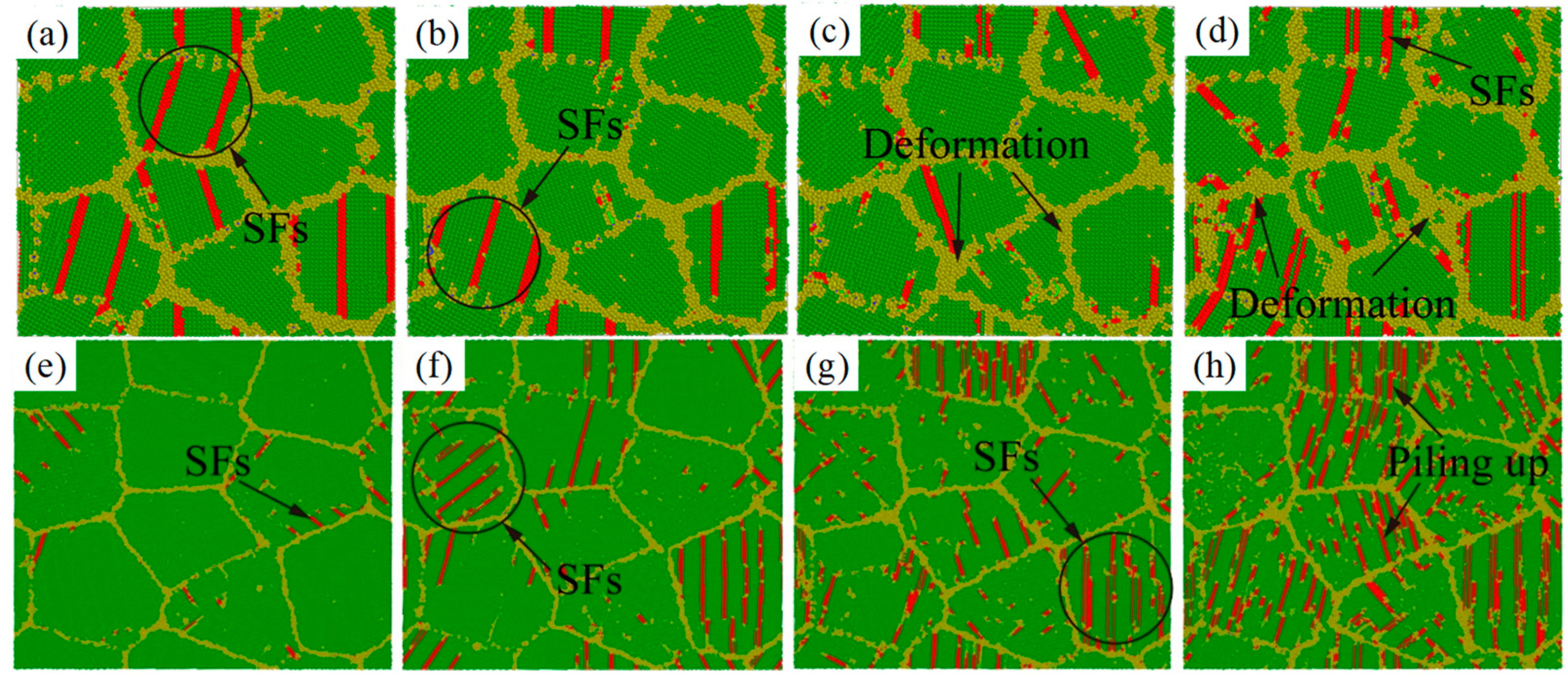 Ijms 23 14437 g018 Ijms 23 14437 g018