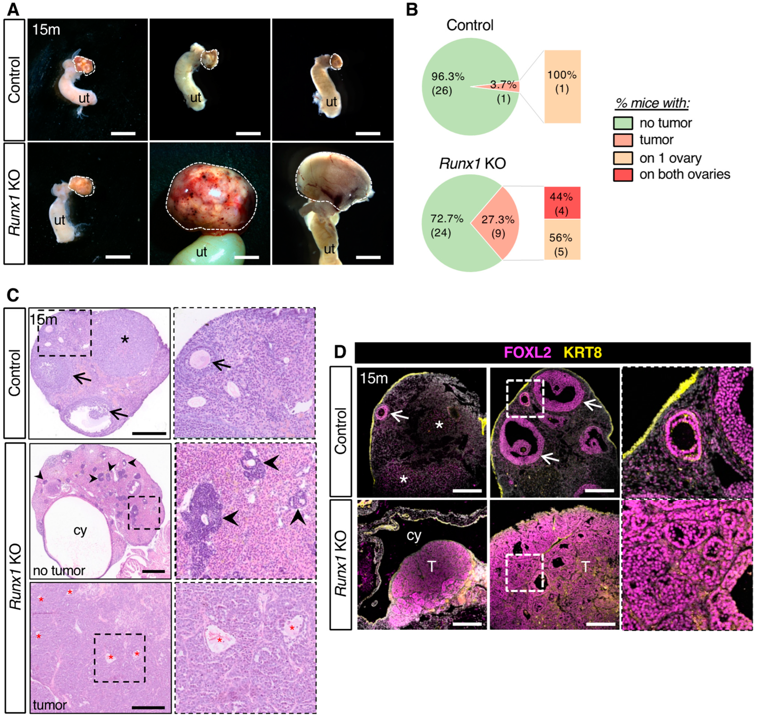 Ijms 23 14442 g002 Ijms 23 14442 g002