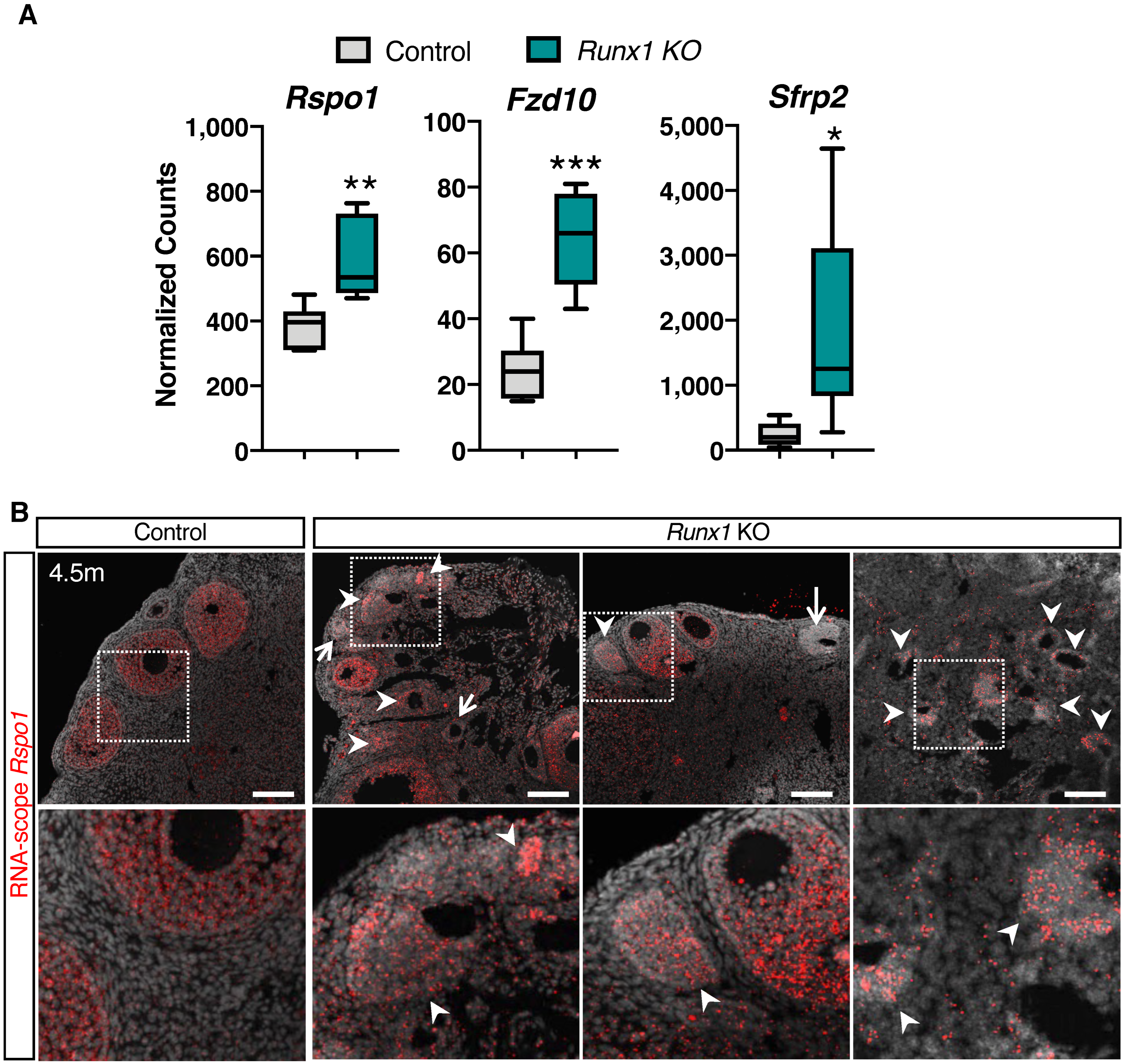 Ijms 23 14442 g006 Ijms 23 14442 g006