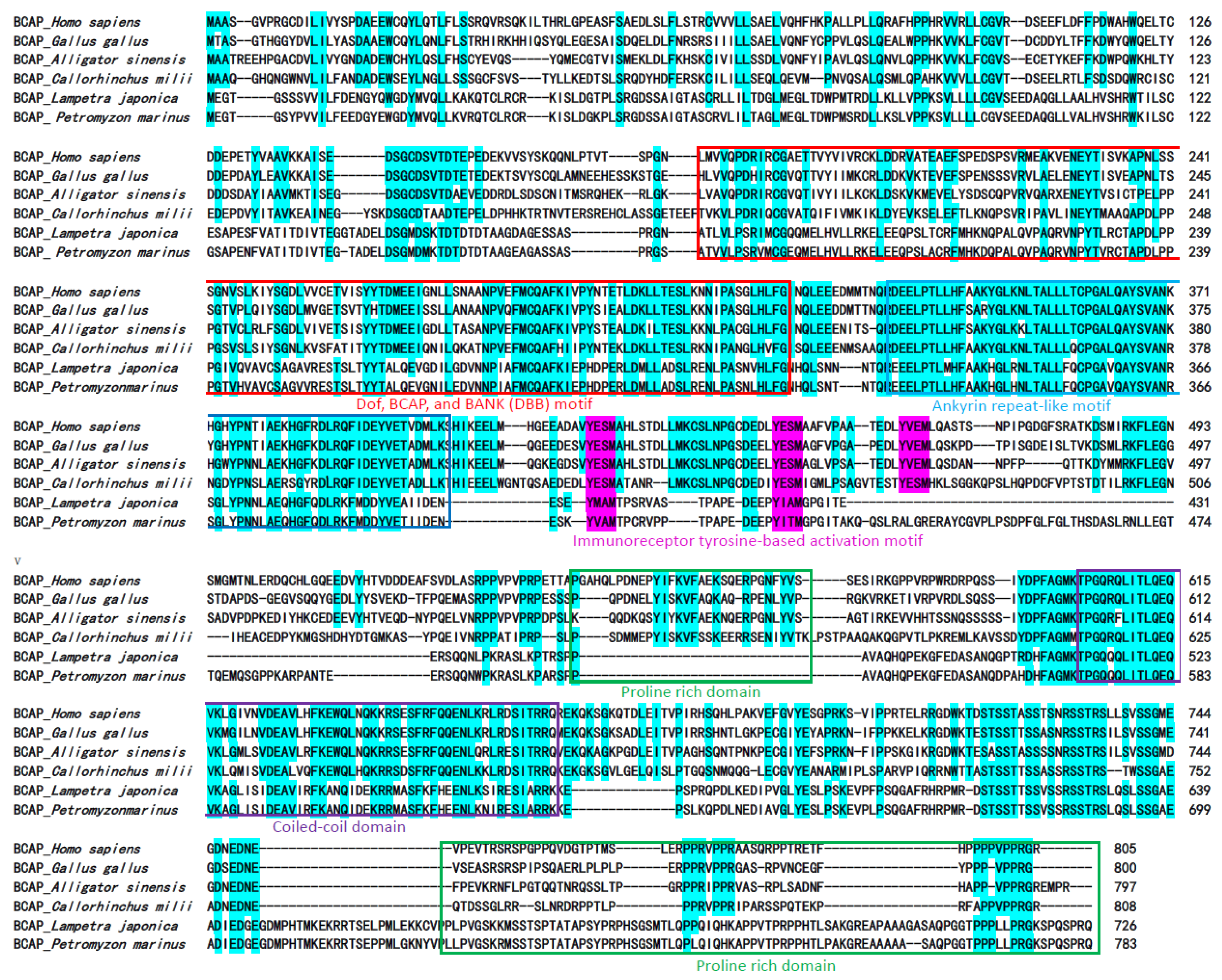 Ijms 23 14449 g001 Ijms 23 14449 g001