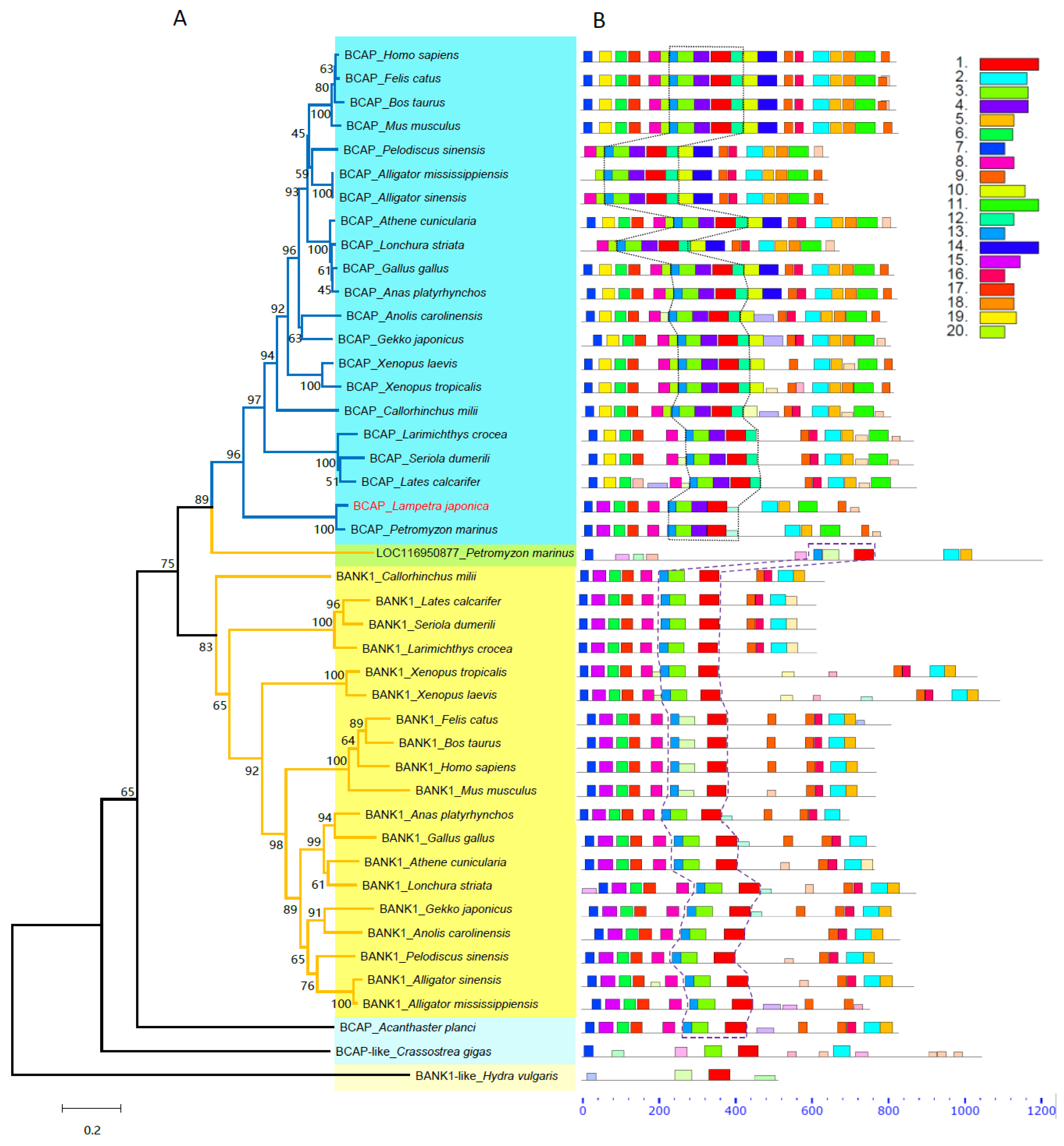 Ijms 23 14449 g002 Ijms 23 14449 g002