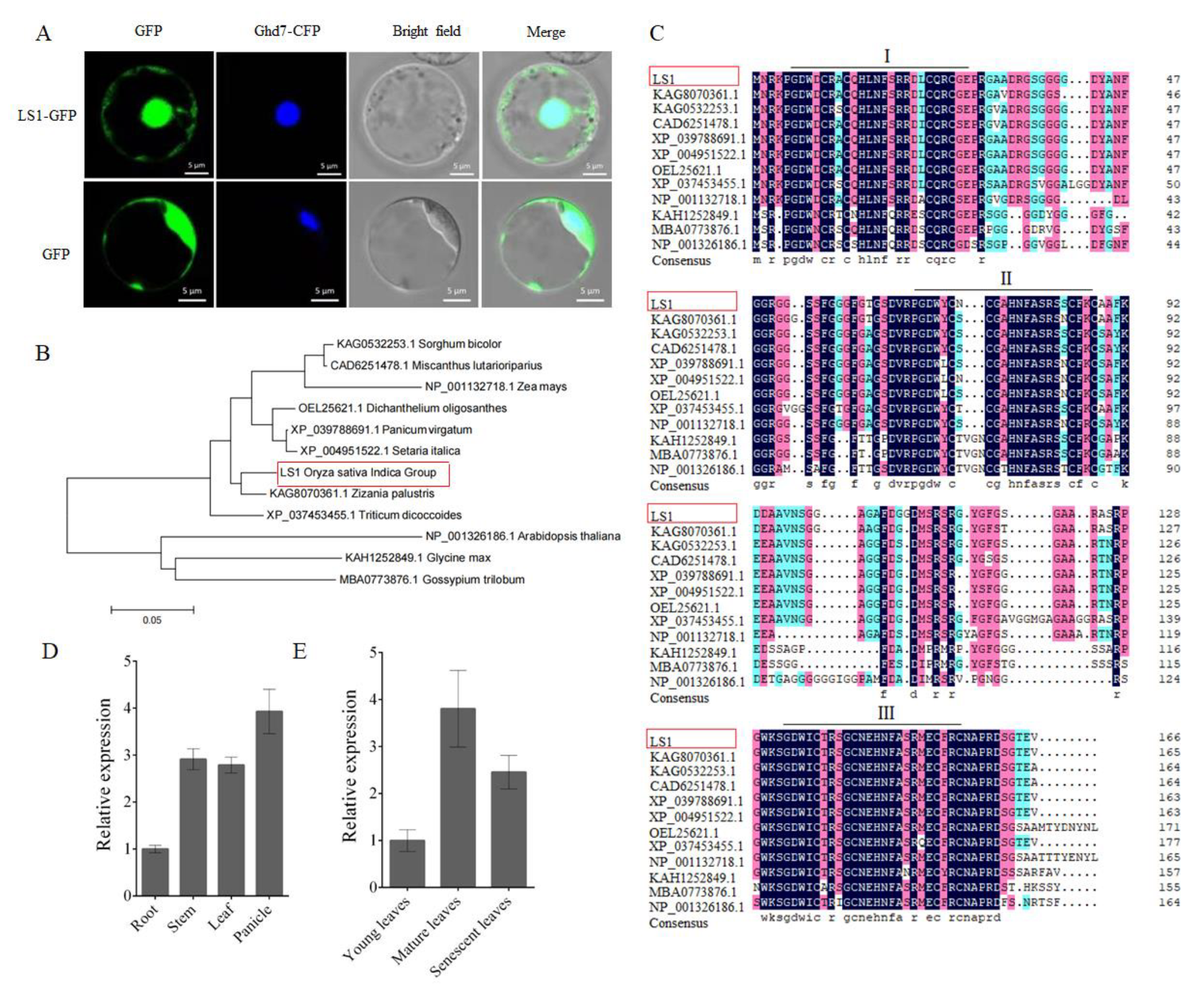 Ijms 23 14464 g001 Ijms 23 14464 g001