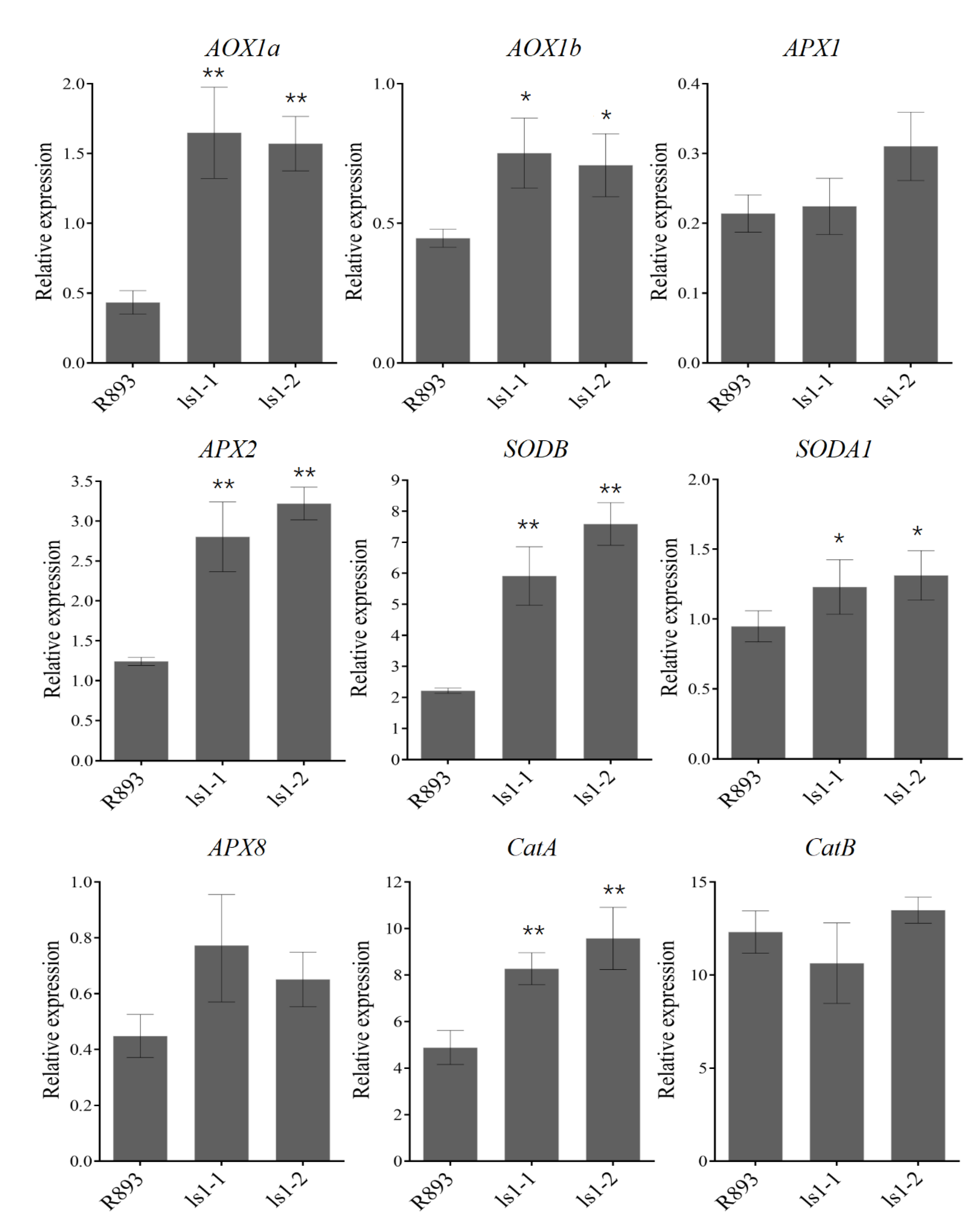 Ijms 23 14464 g006 Ijms 23 14464 g006
