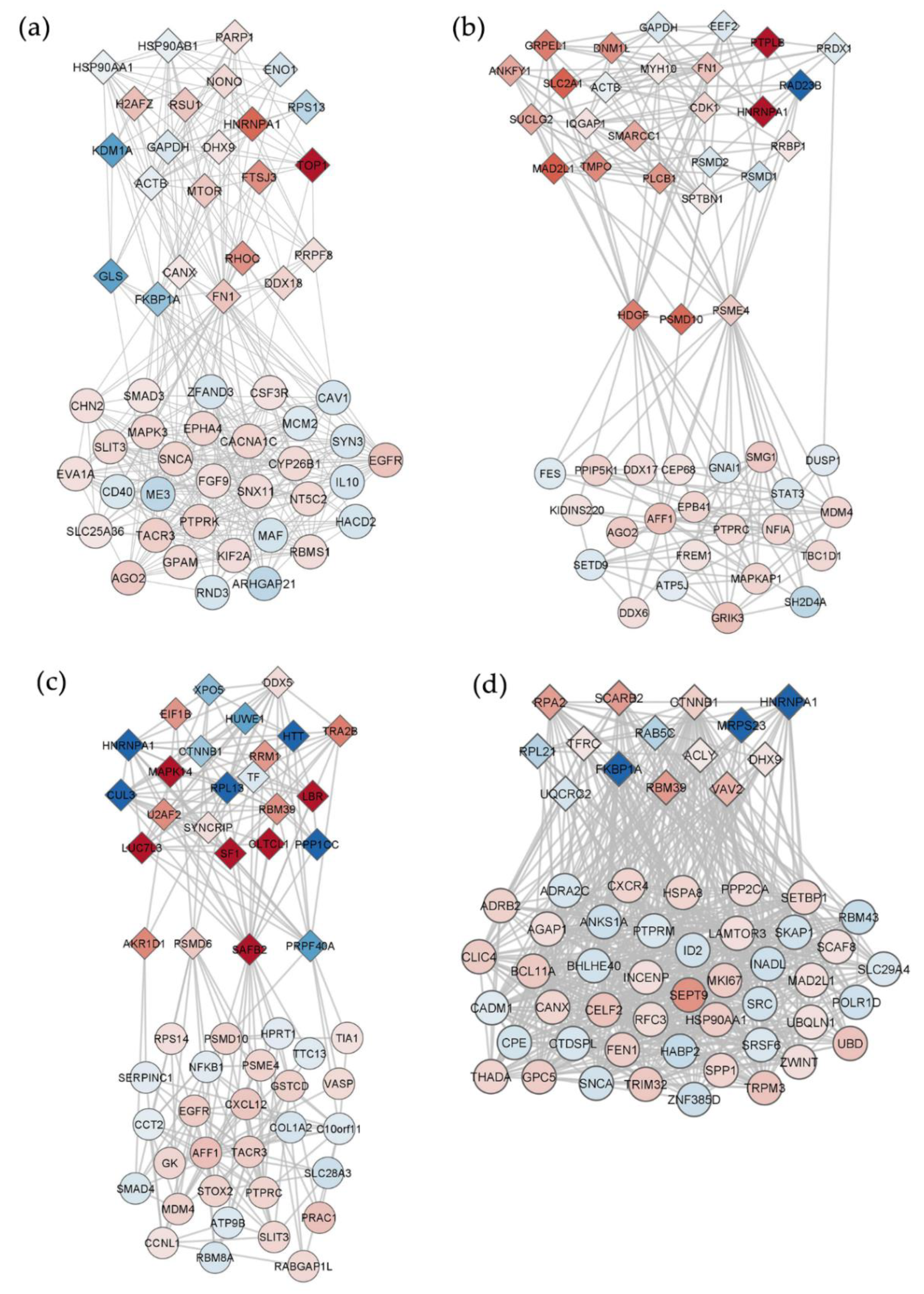 Ijms 23 14465 g005 Ijms 23 14465 g005