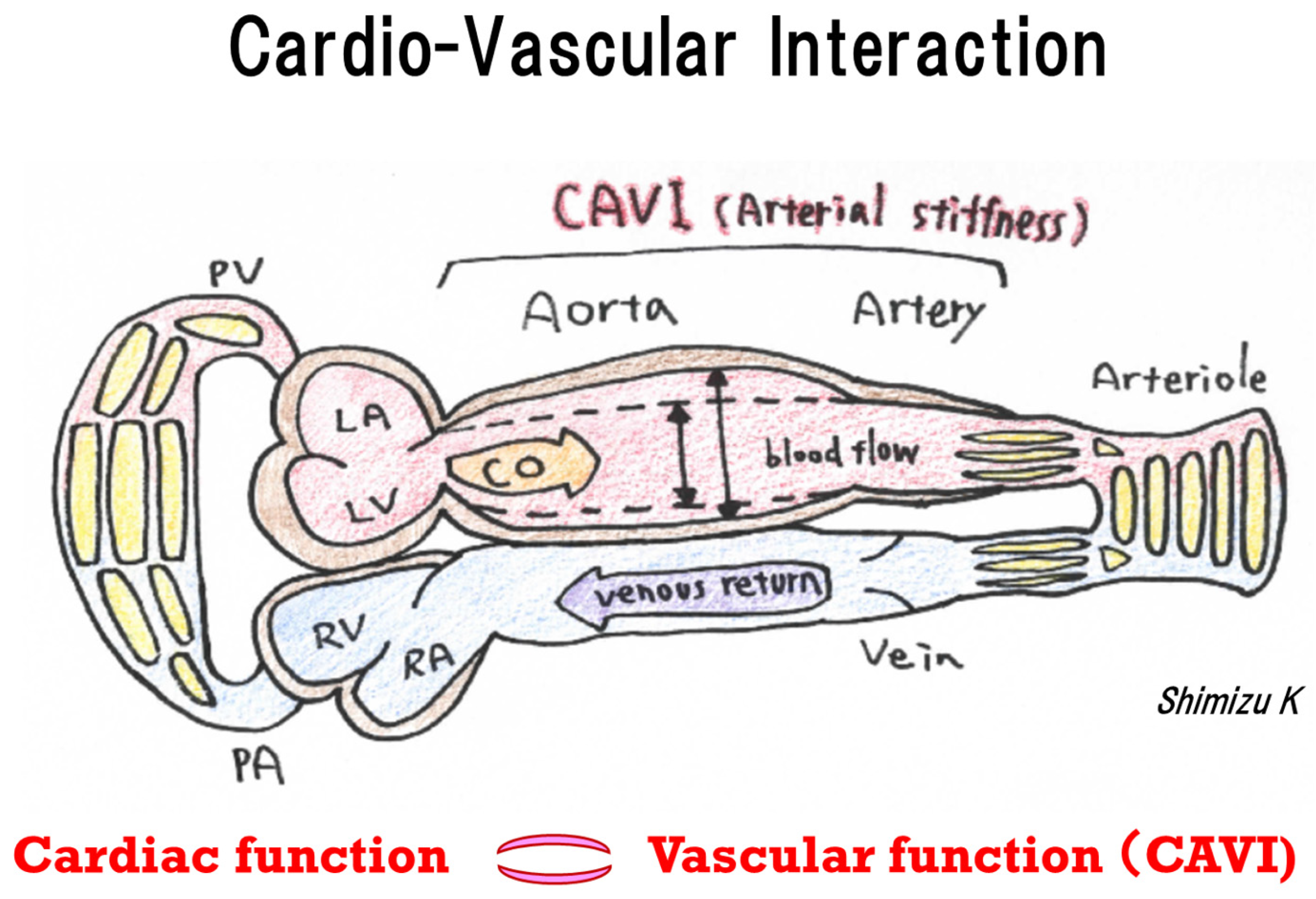Ijms 23 14469 g003 Ijms 23 14469 g003