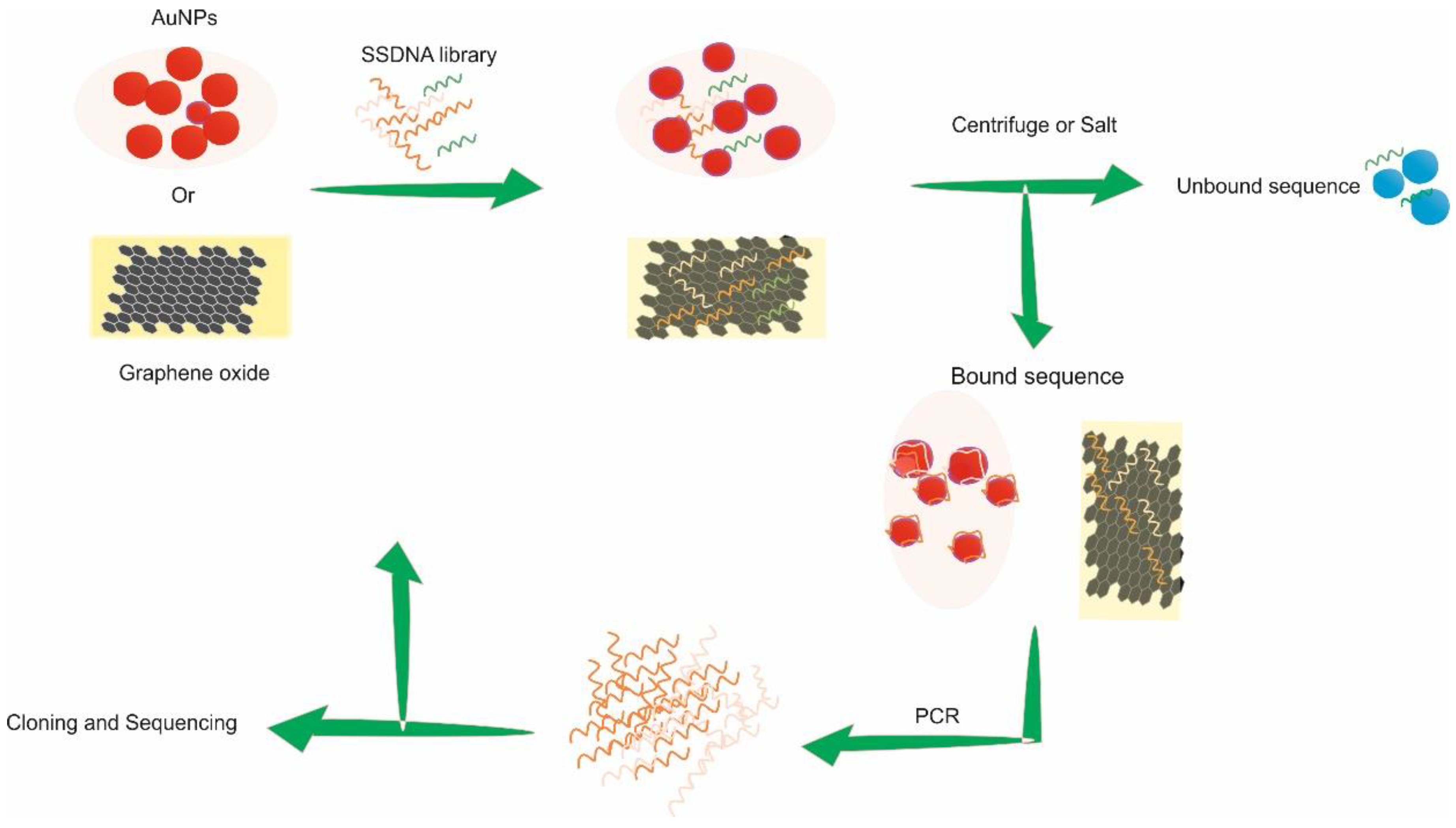 Ijms 23 14475 g002 Ijms 23 14475 g002