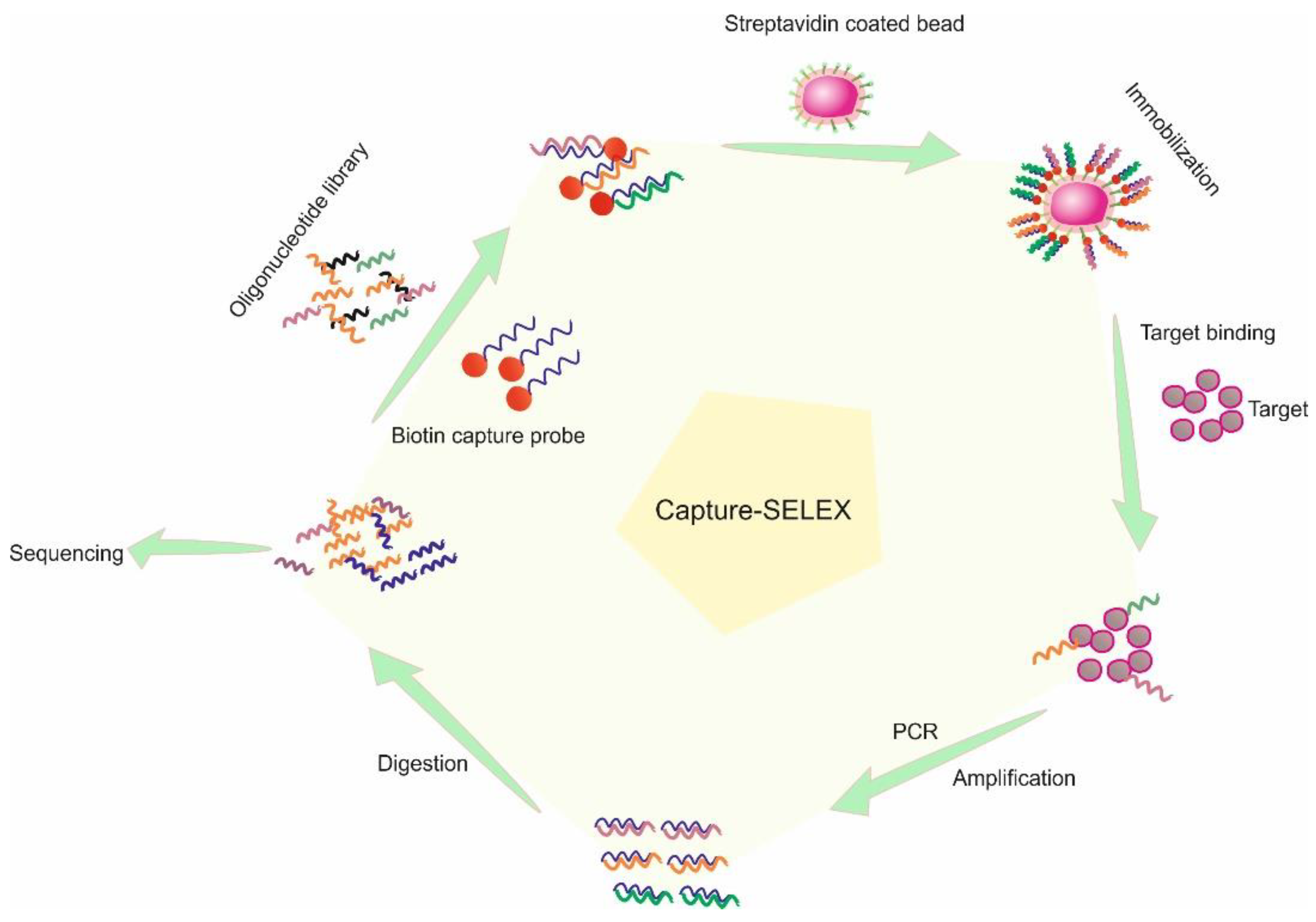 Ijms 23 14475 g003 Ijms 23 14475 g003