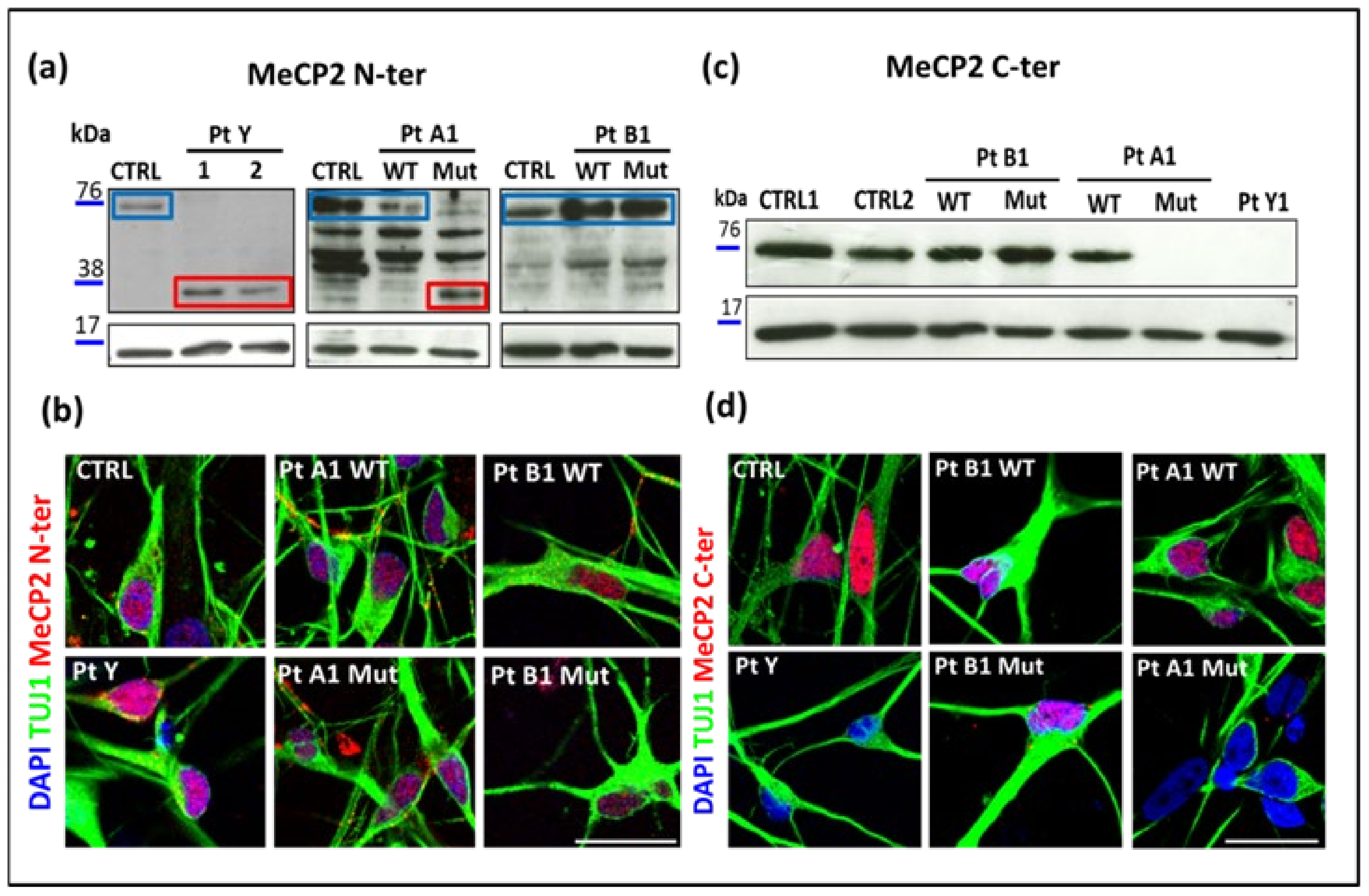 Ijms 23 14491 g003 Ijms 23 14491 g003