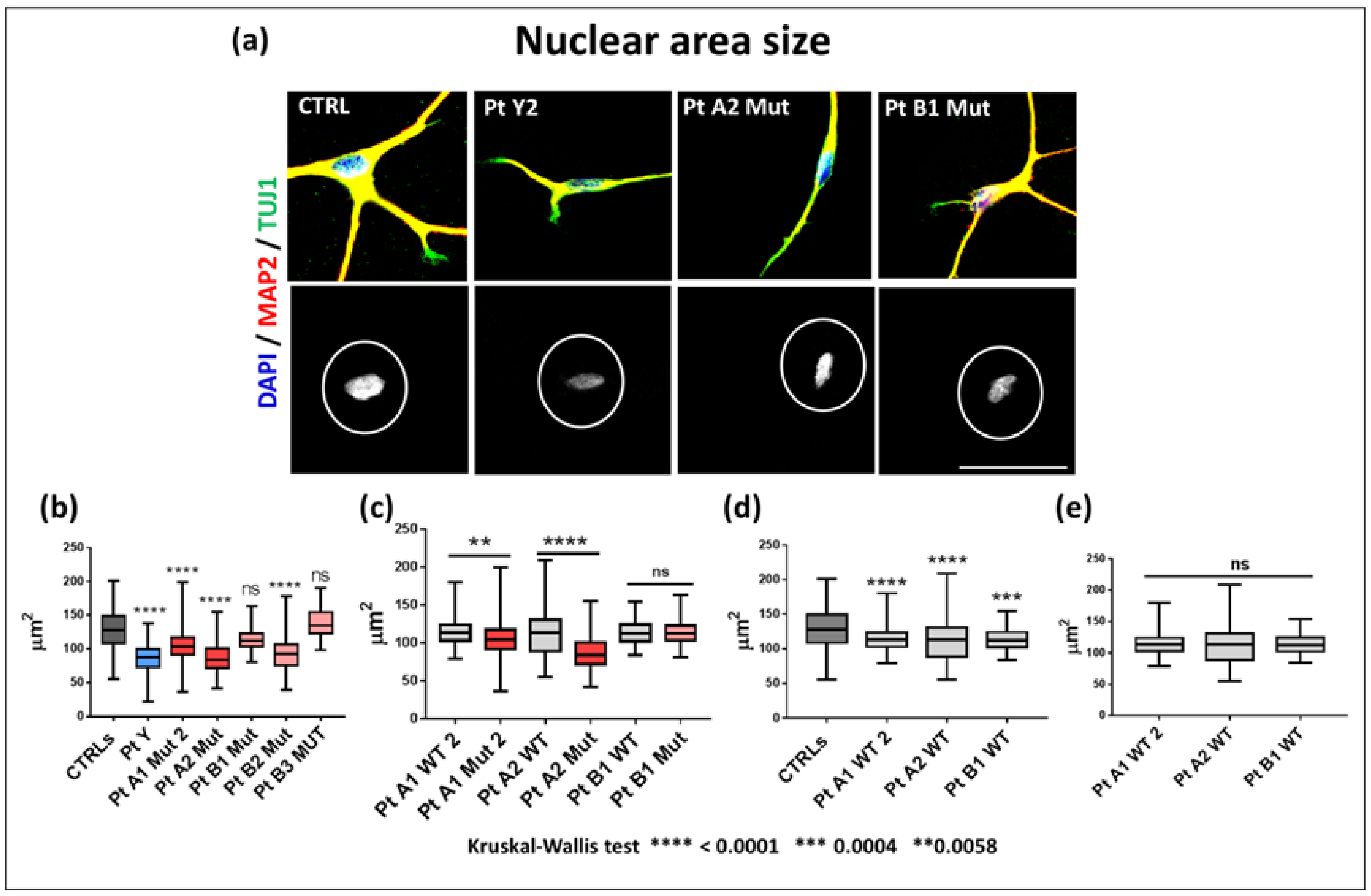 Ijms 23 14491 g004 Ijms 23 14491 g004