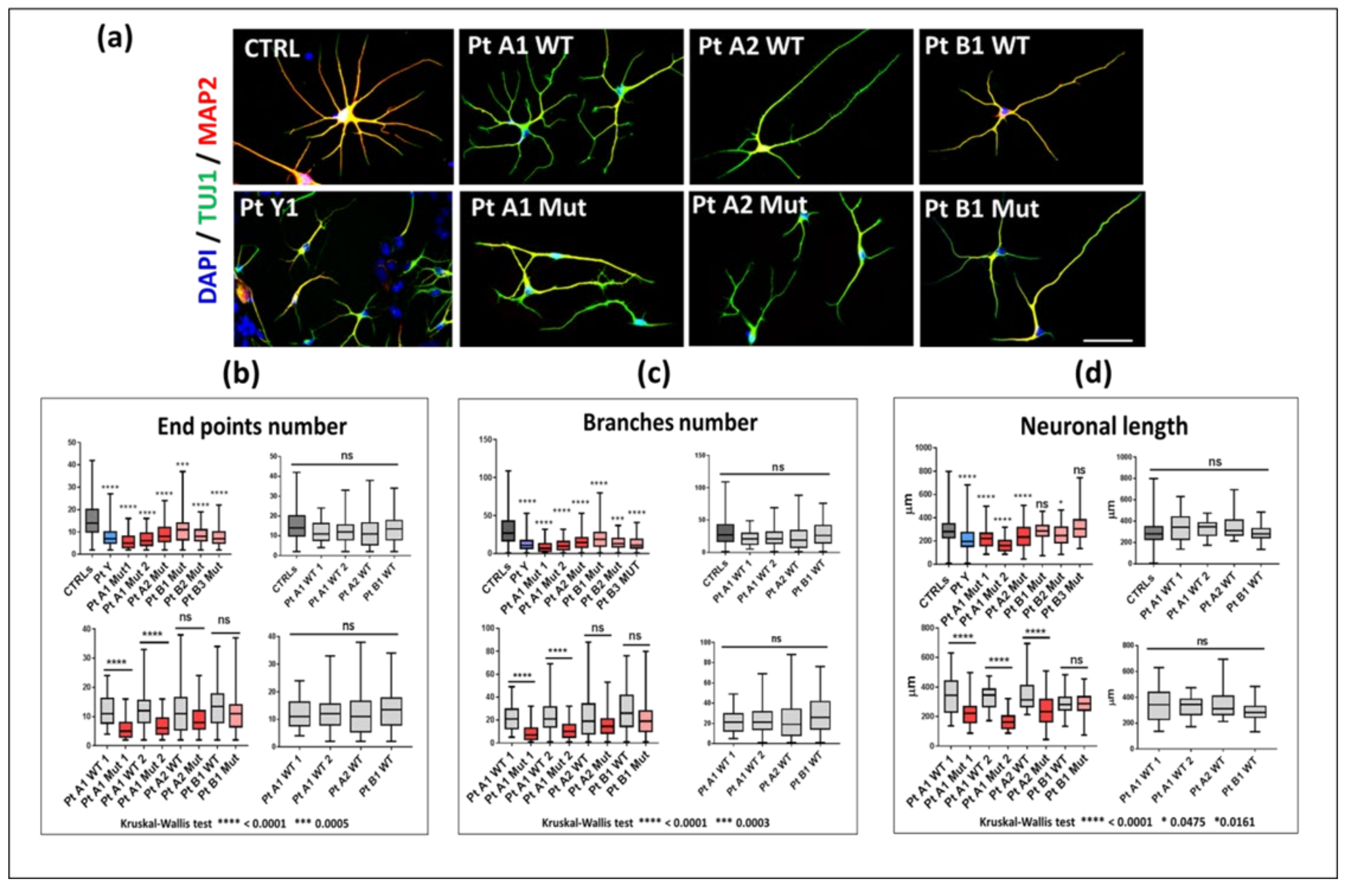 Ijms 23 14491 g005 Ijms 23 14491 g005
