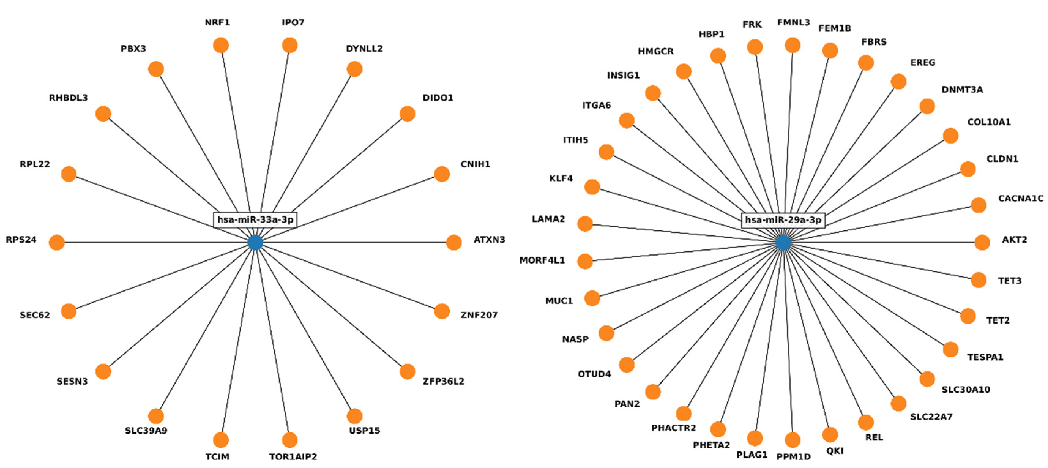 Ijms 23 14493 g004 Ijms 23 14493 g004