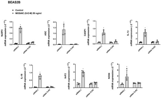 IJMS | Free Full-Text | N-acetylcysteine Reduces Inflammasome 